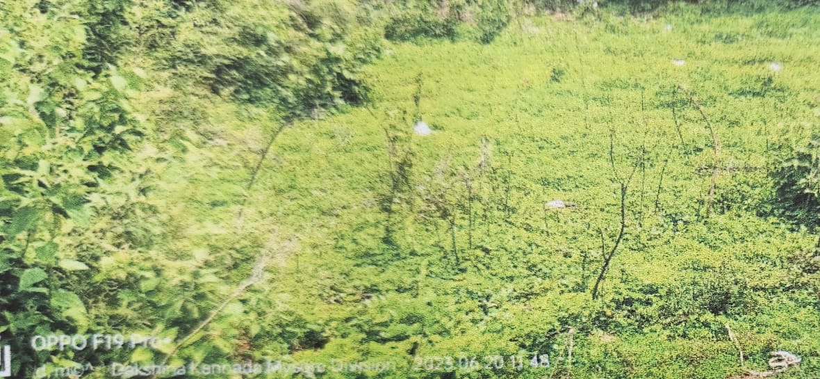 VACANT LAND for sale in Puttur — photo 1