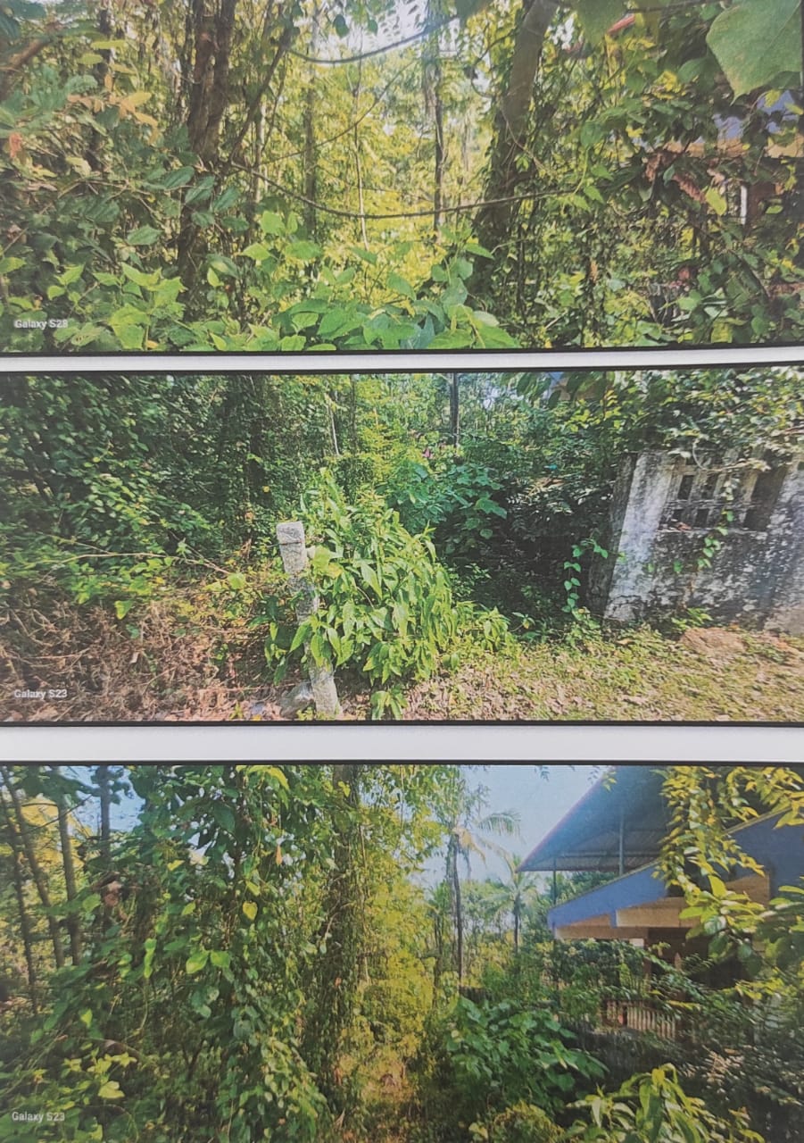 VACANT LAND for sale in Puttur — photo 1