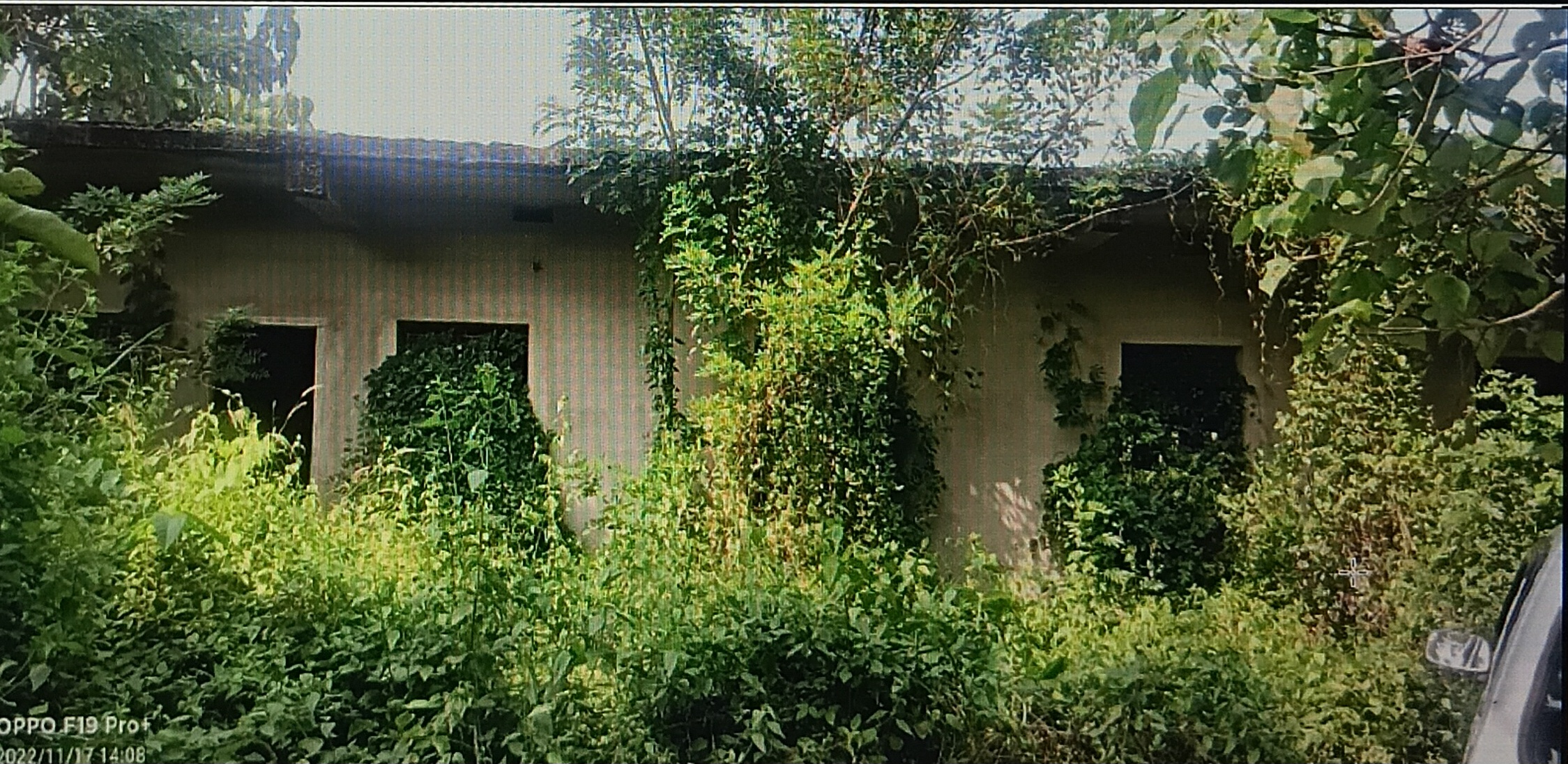 others for sale in Puttur — photo 1