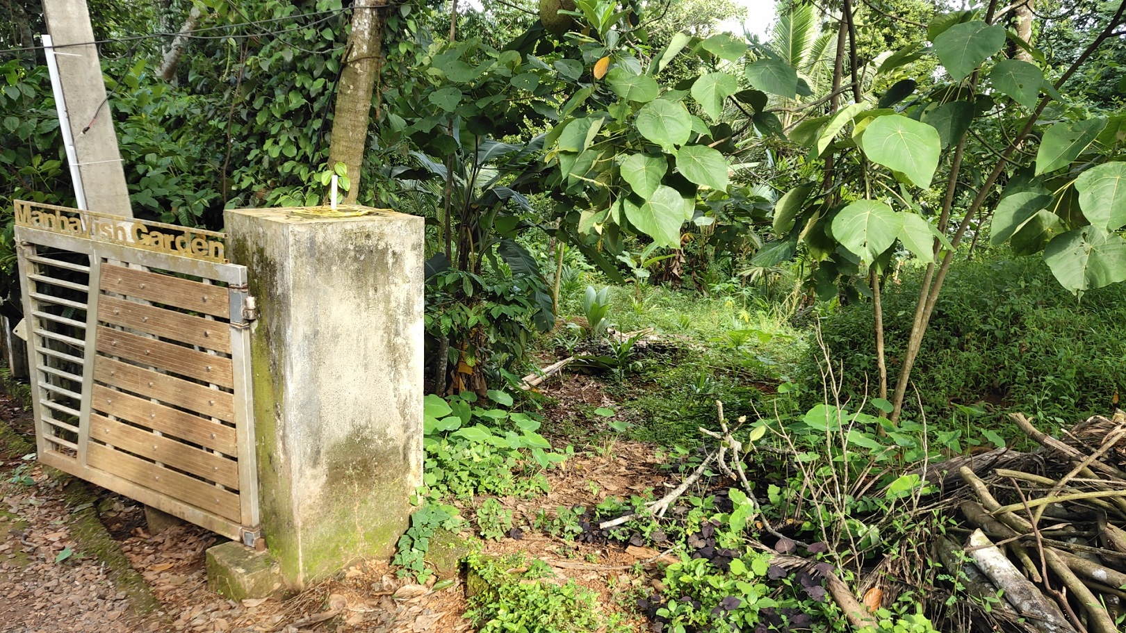 Plot for sale in Marampilly — photo 3