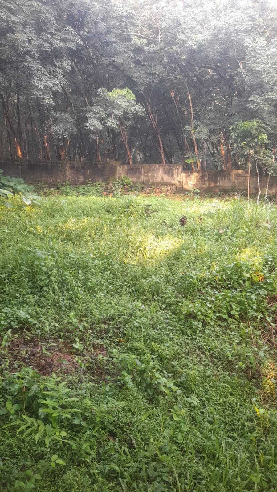 Plot for sale in varkala Varkala — photo 1
