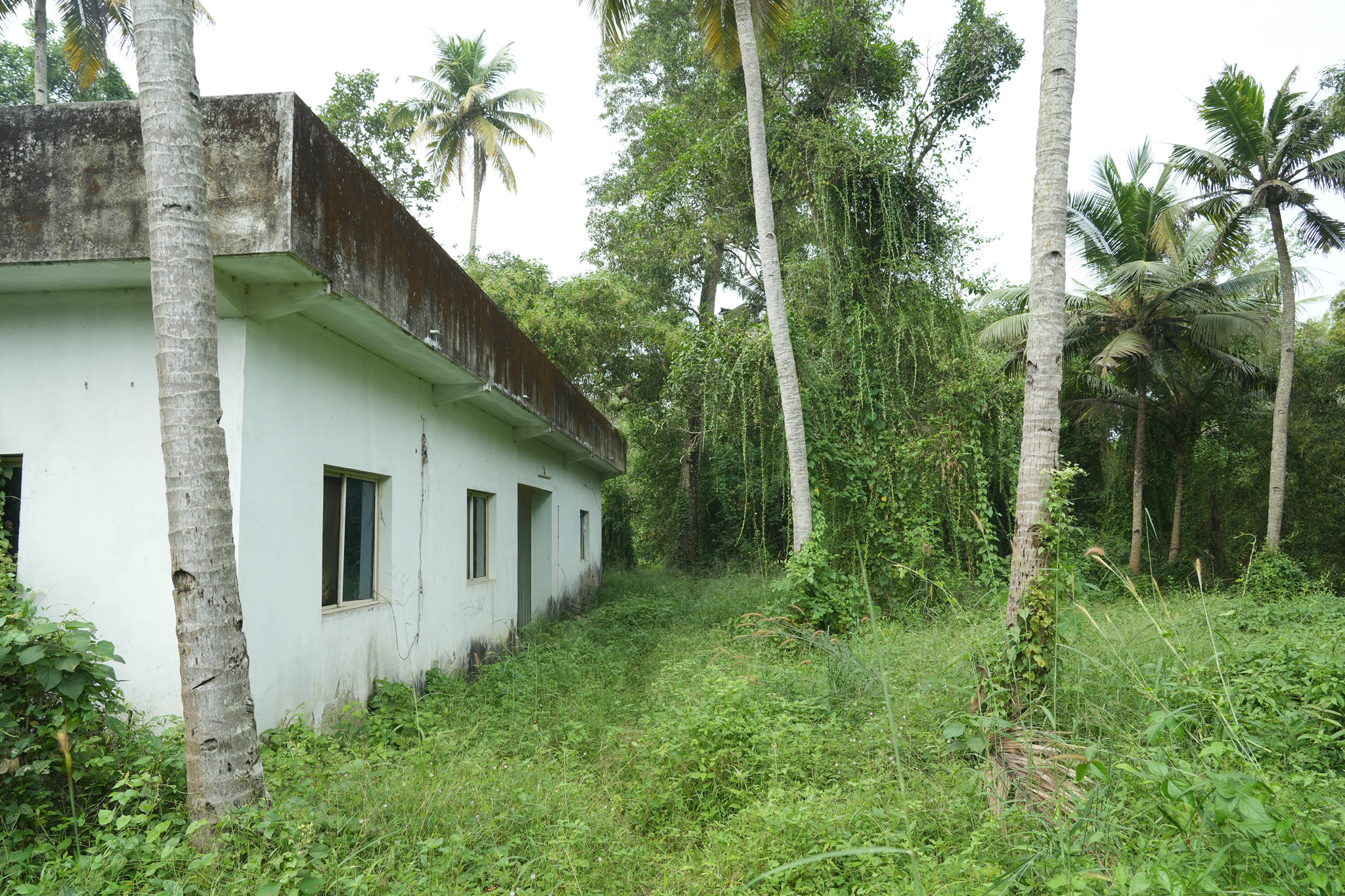Farm House for sale in Chingoli Vllage, Karthikapally, Alappuzha Cheppad — photo 1