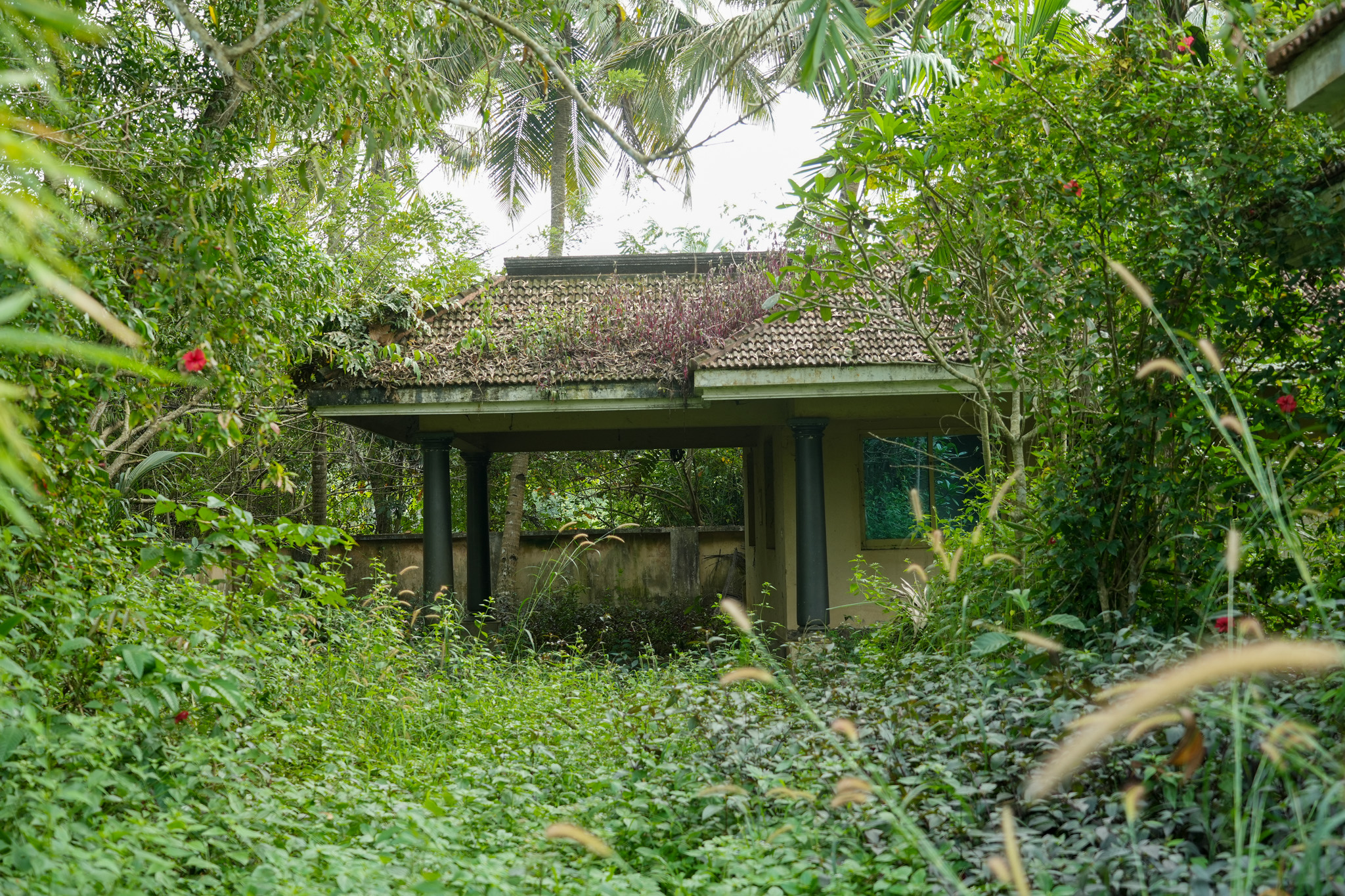Farm House for sale in Chingoli Vllage, Karthikapally, Alappuzha Cheppad — photo 3