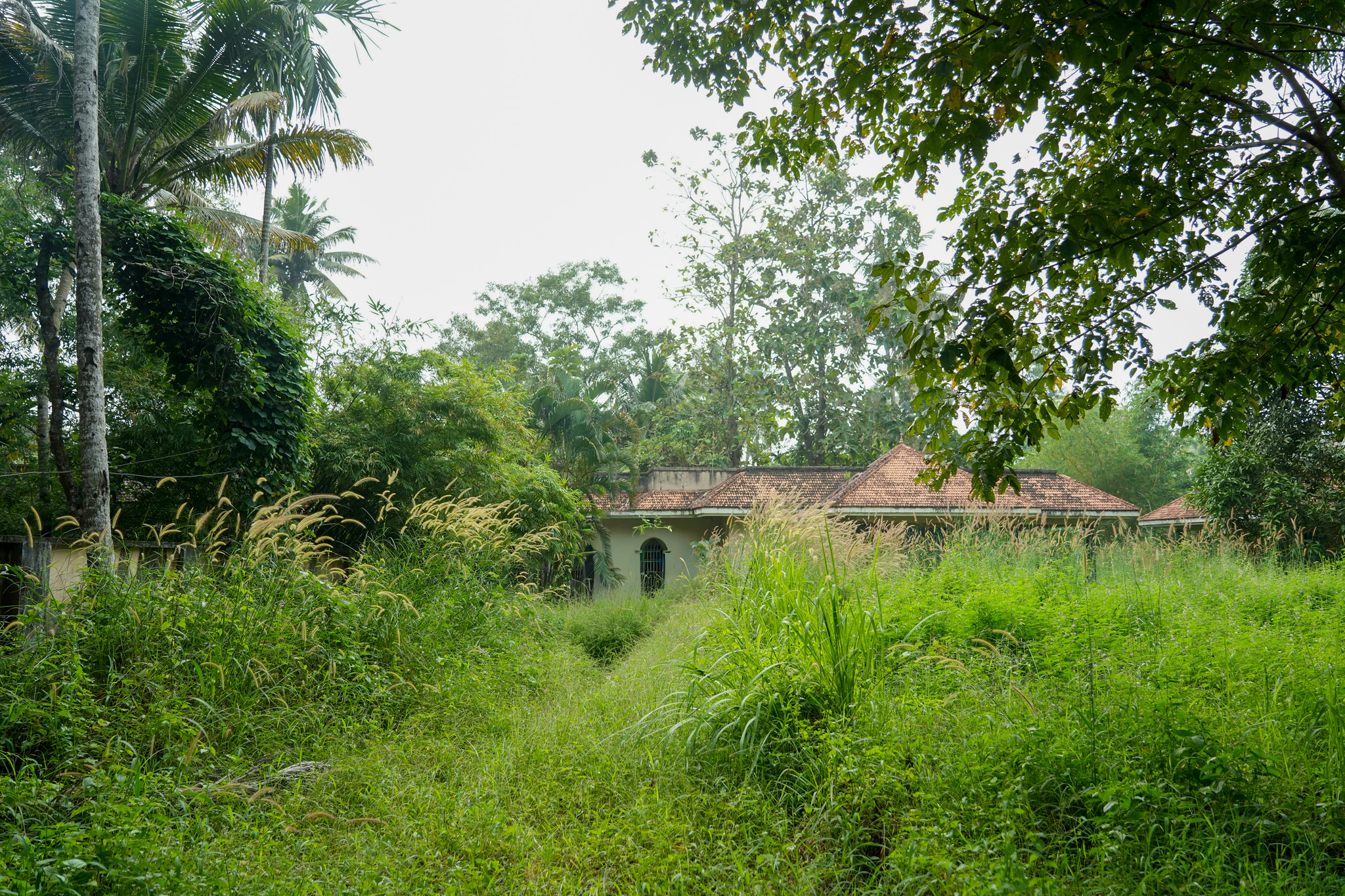 Farm House for sale in Chingoli Vllage, Karthikapally, Alappuzha Cheppad — photo 7