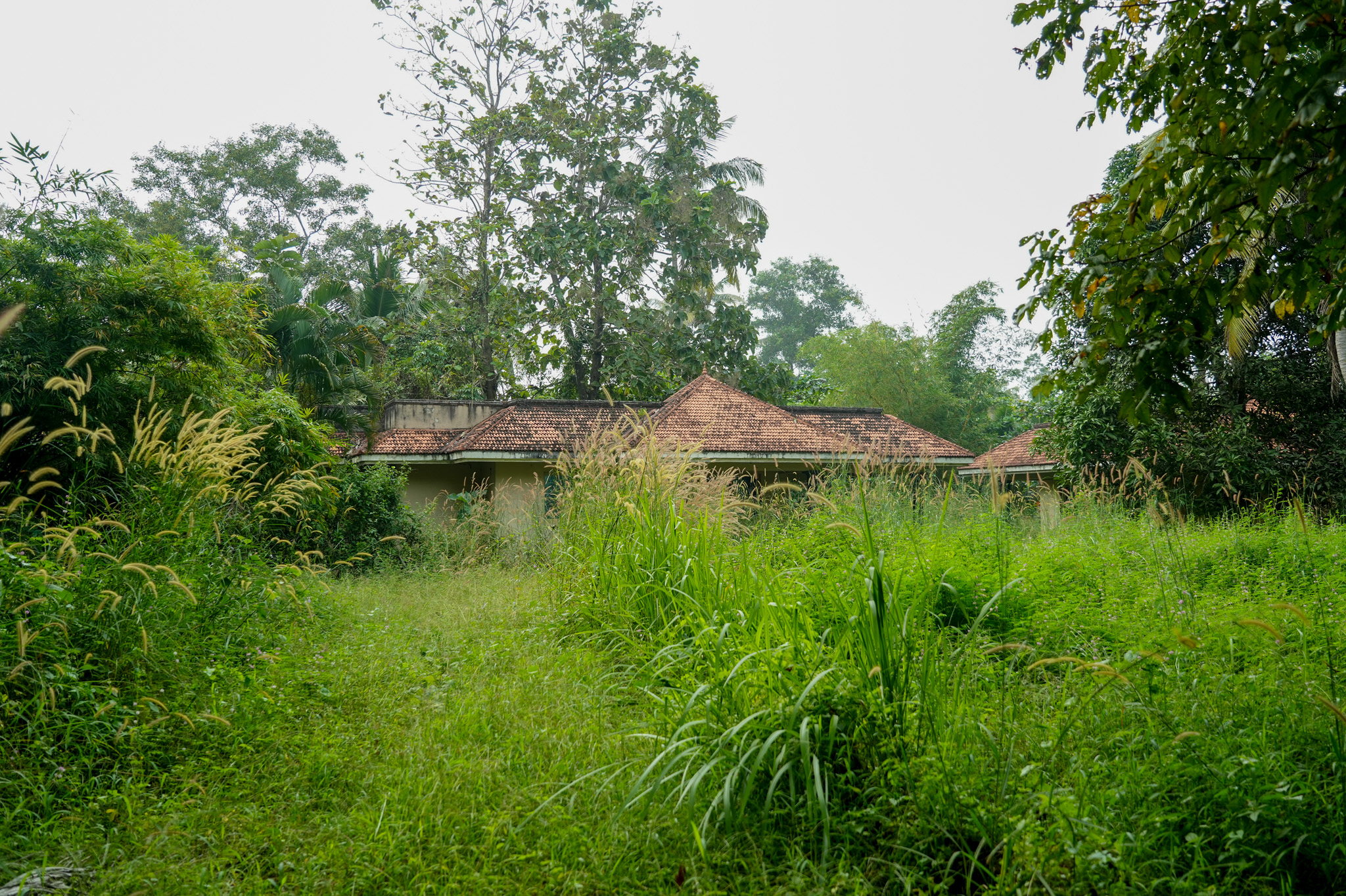 Farm House for sale in Chingoli Vllage, Karthikapally, Alappuzha Cheppad — photo 9