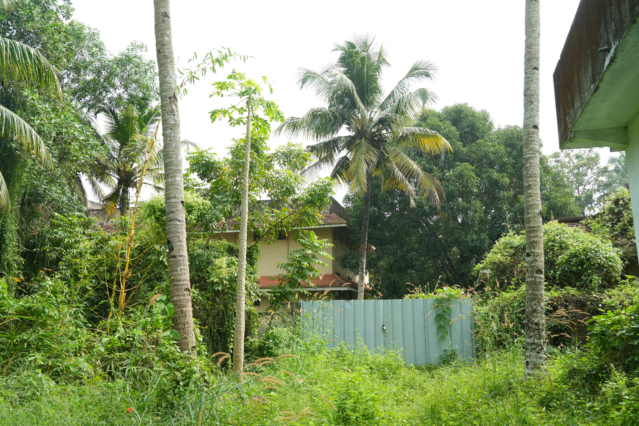 Farm House for sale in Chingoli Vllage, Karthikapally, Alappuzha Cheppad — photo 14