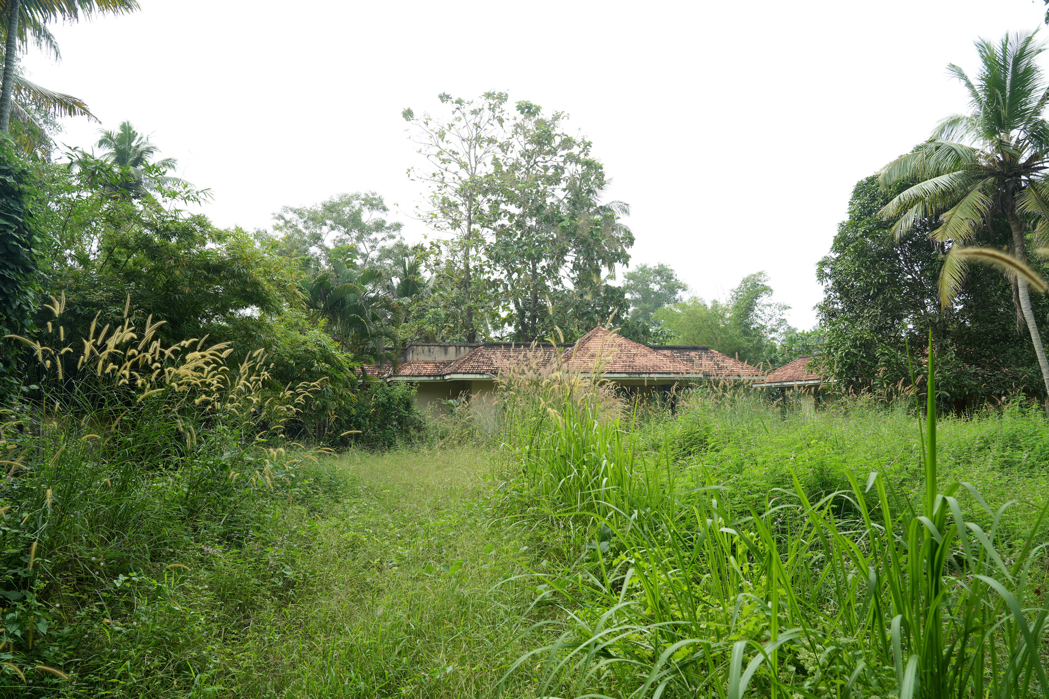 Farm House for sale in Chingoli Vllage, Karthikapally, Alappuzha Cheppad — photo 16