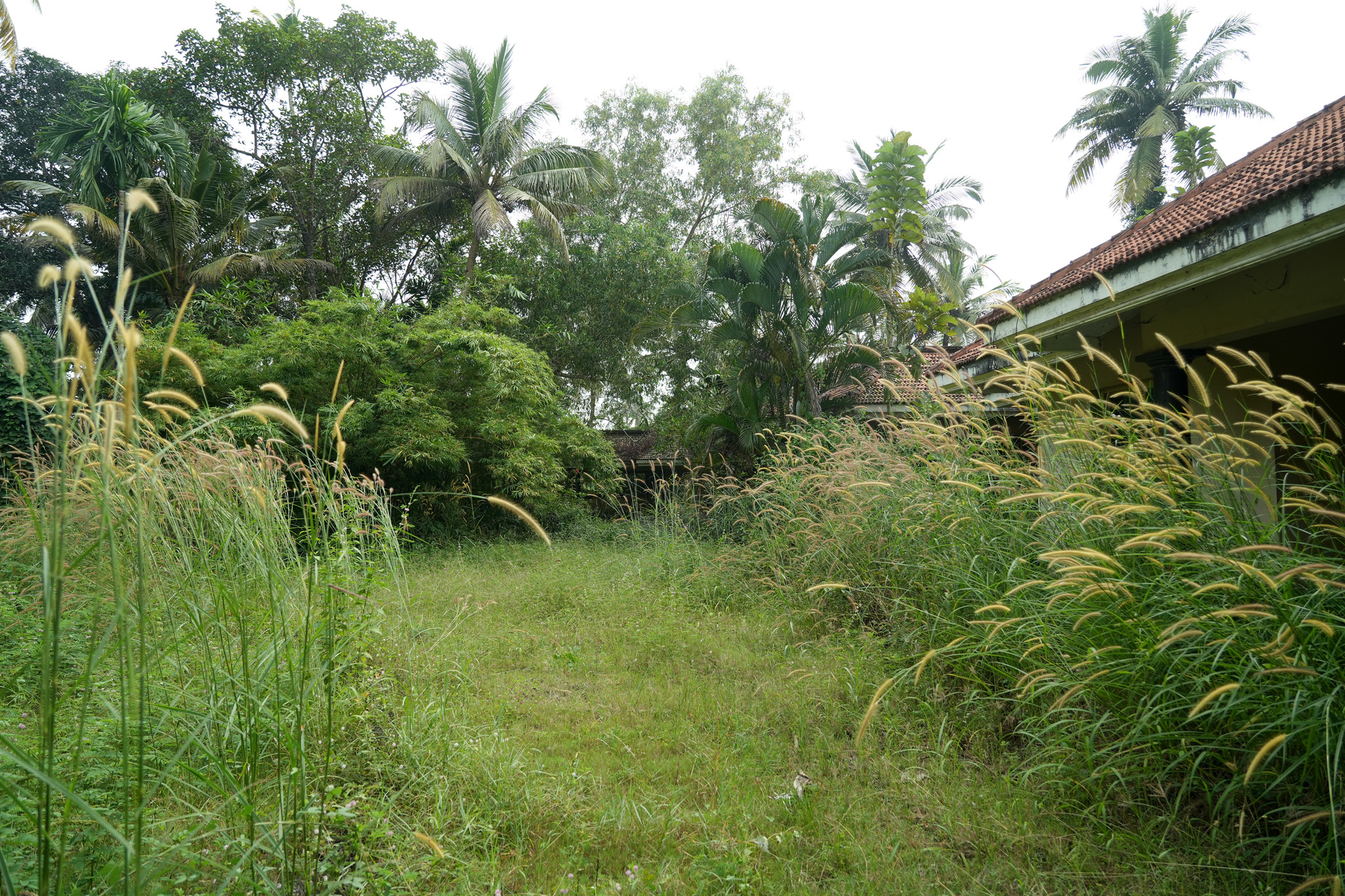 Farm House for sale in Chingoli Vllage, Karthikapally, Alappuzha Cheppad — photo 23