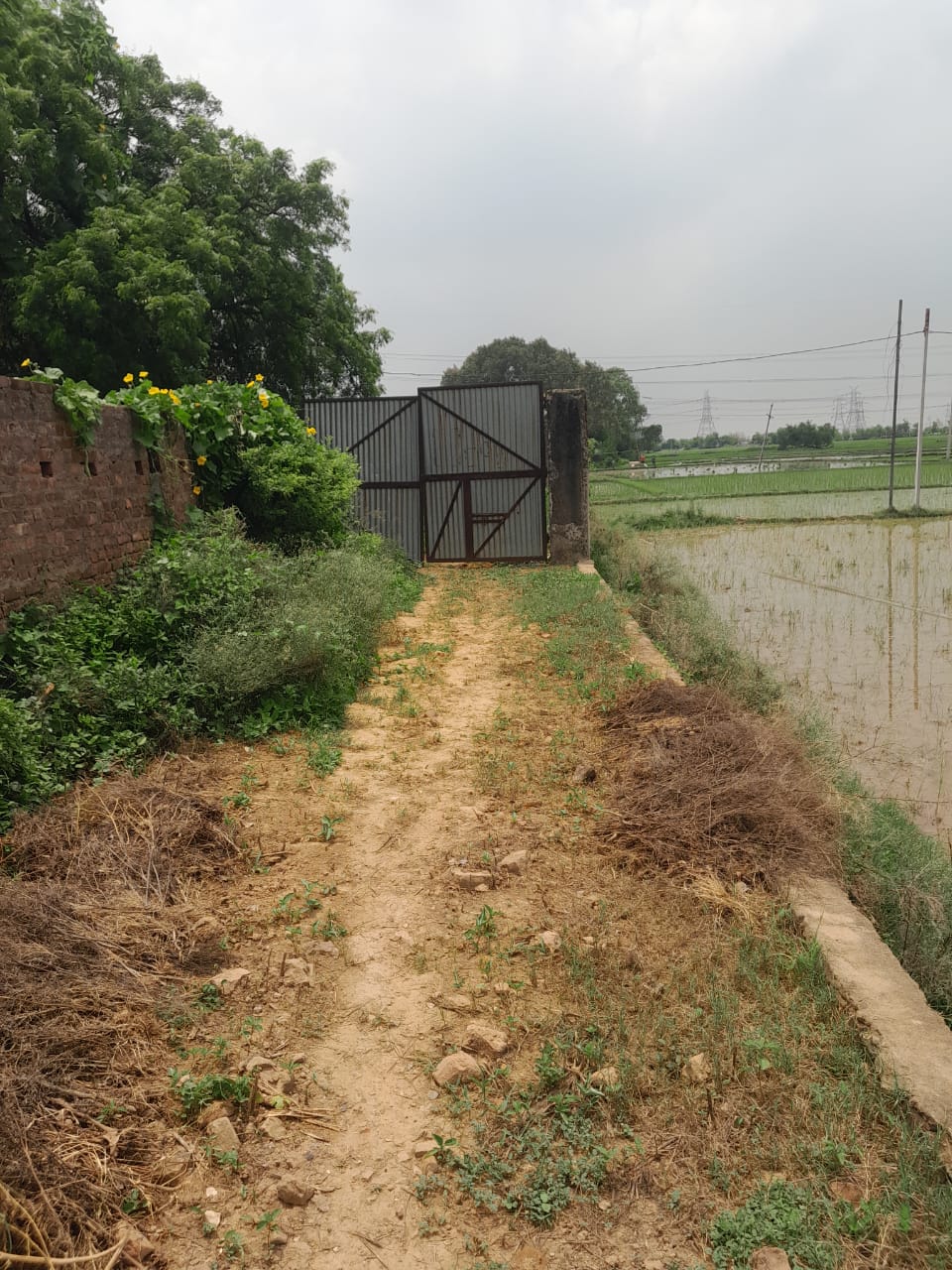 5227 square feet Plot for sale in Kudra — photo 1
