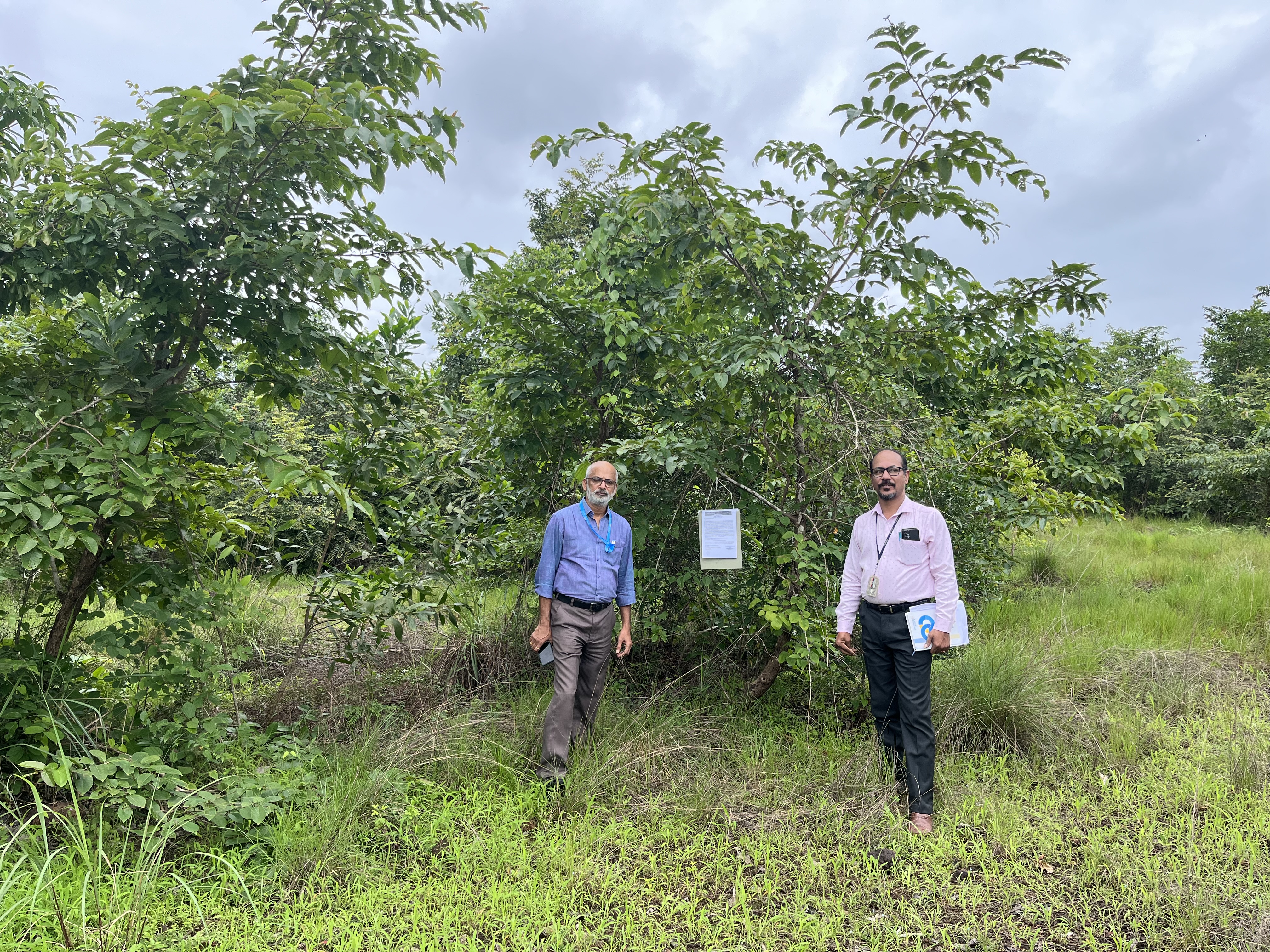 Plot for sale in Cheruthazham — photo 1
