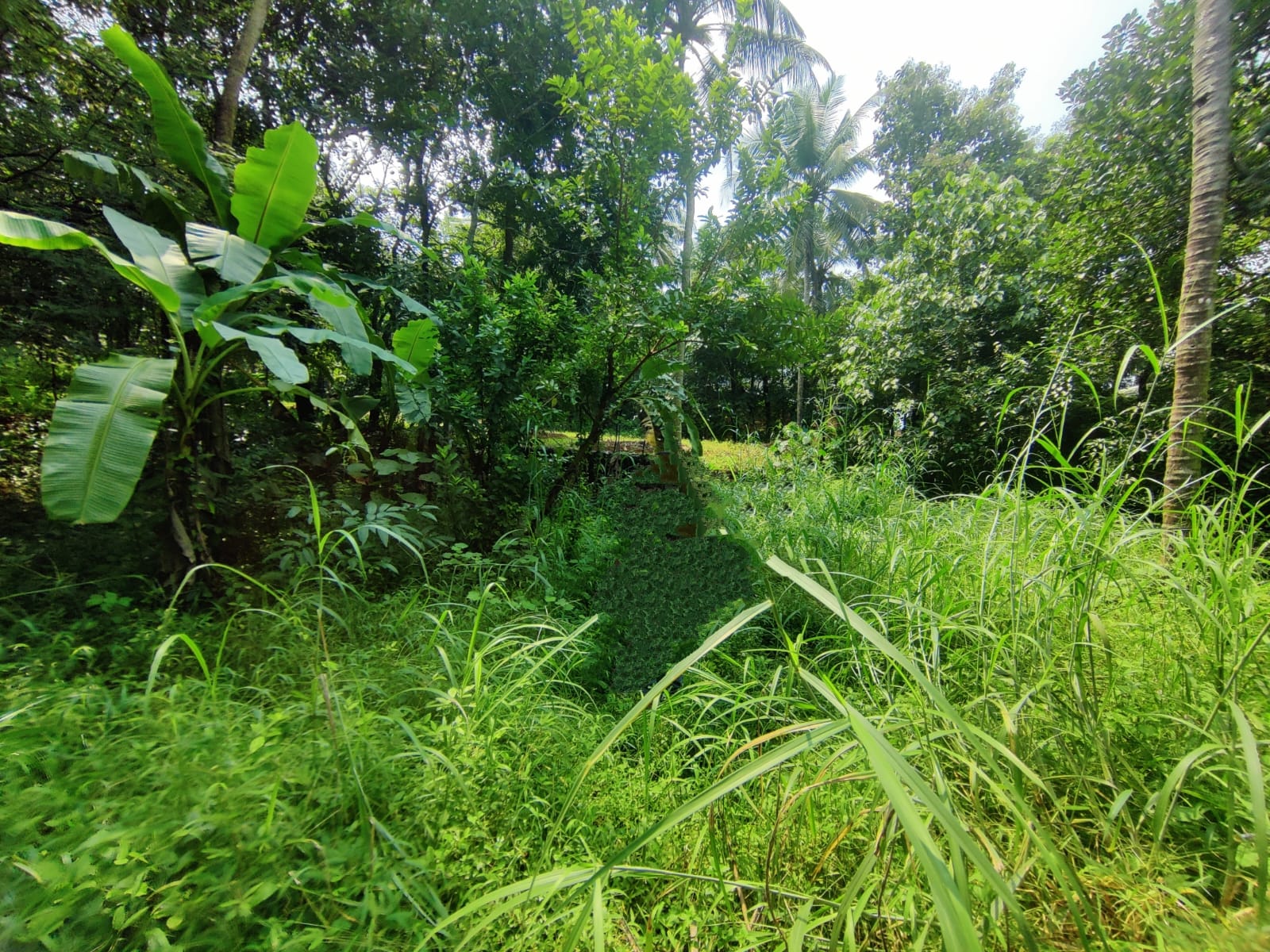 Plot for sale in Malappuram — photo 1