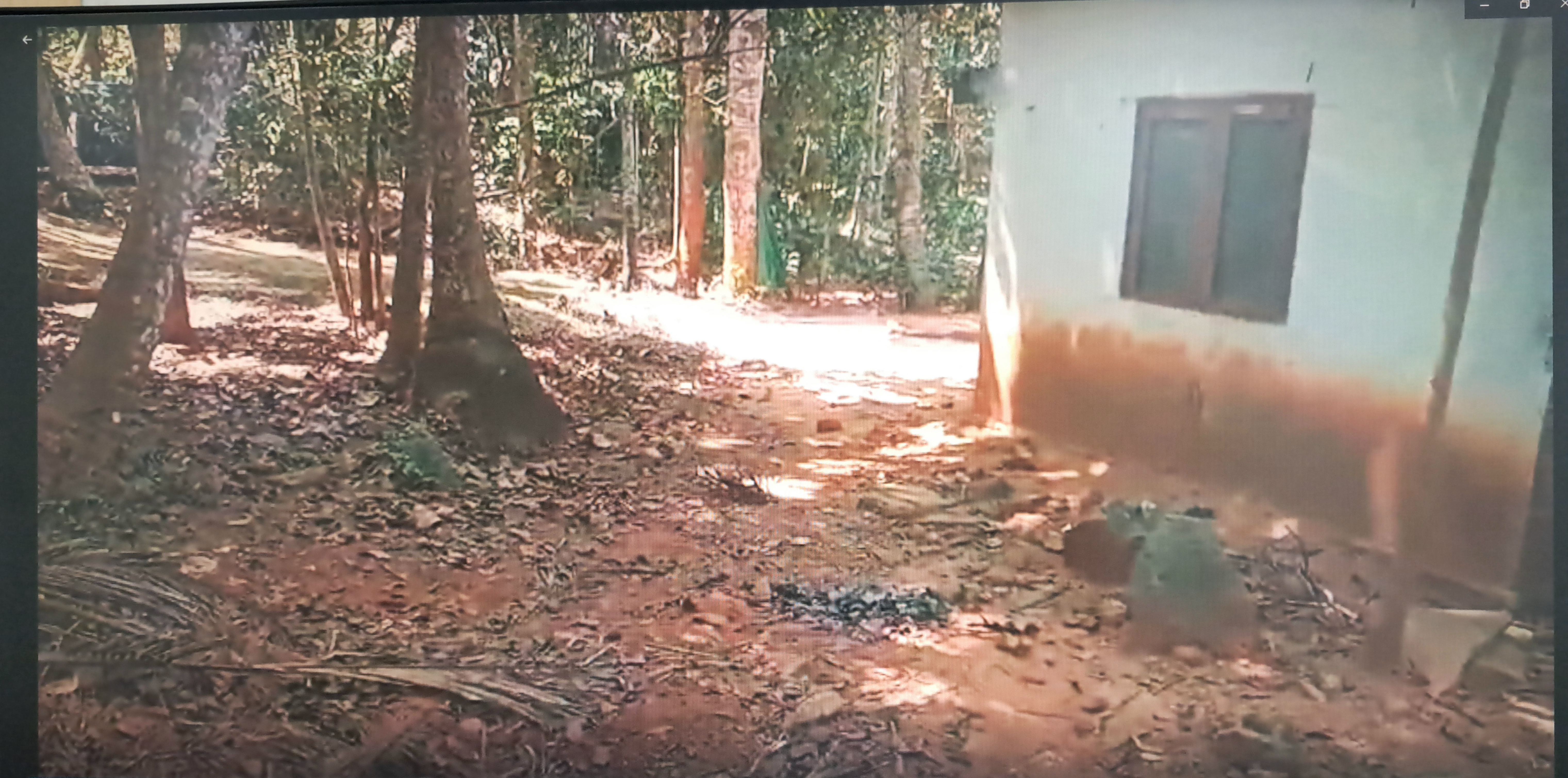 Individual House for sale in Thirupuram village neyyattinkara taluk & Thiruvananthapuram district Thiruvananthapuram — photo 1