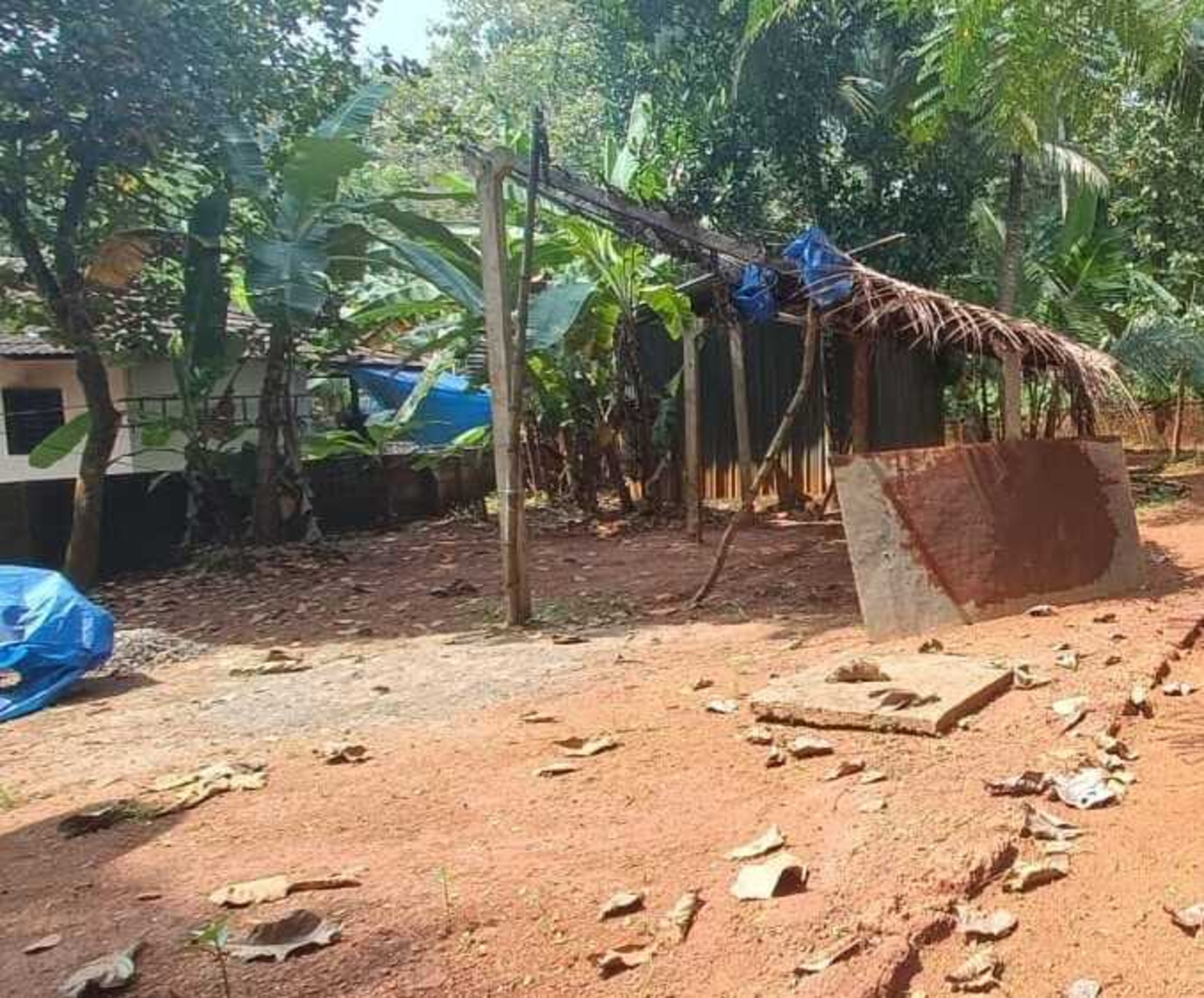 Plot for sale in Kalady Malappuram — photo 6