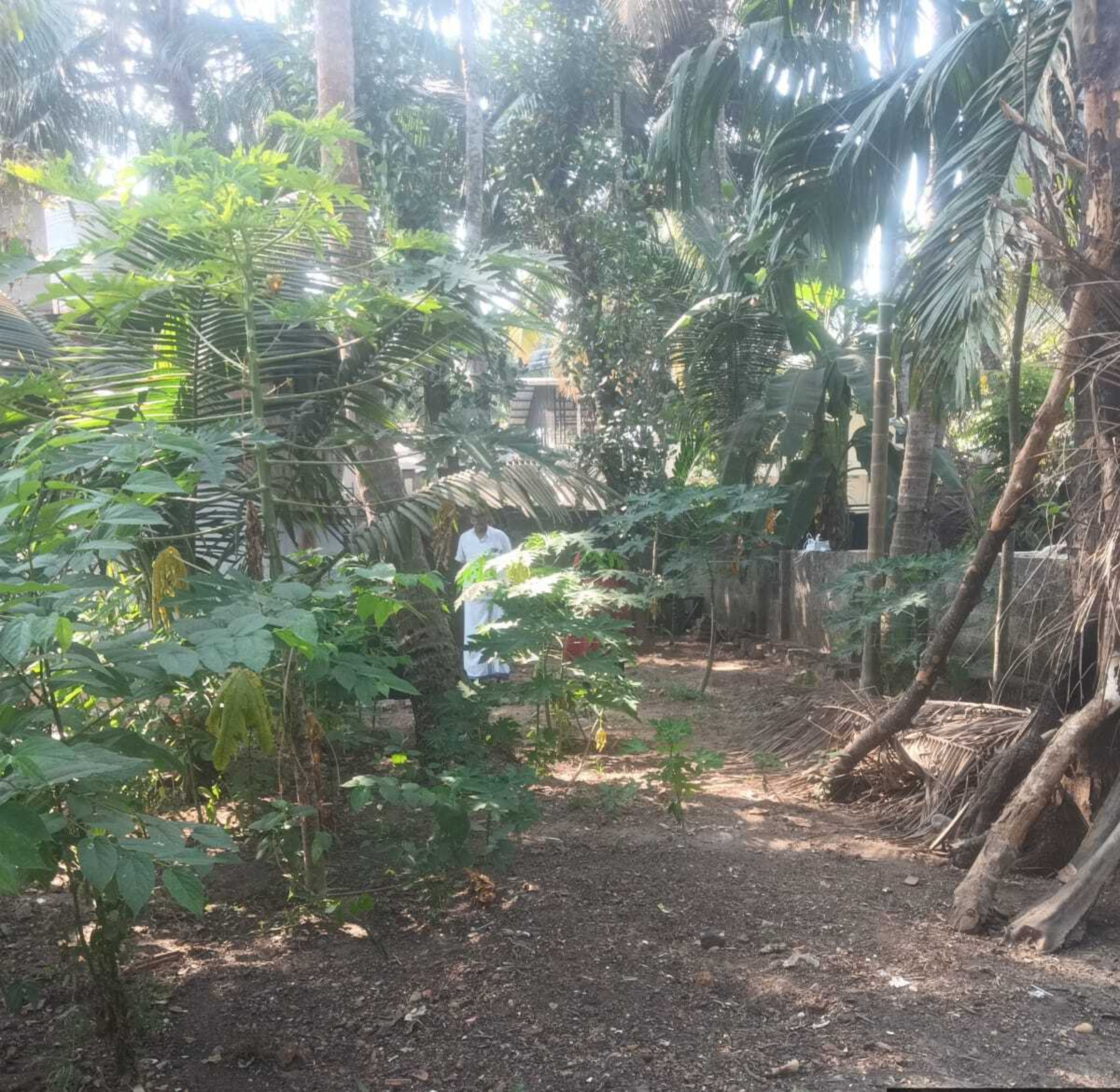 Plot for sale in Kadalundi — photo 1