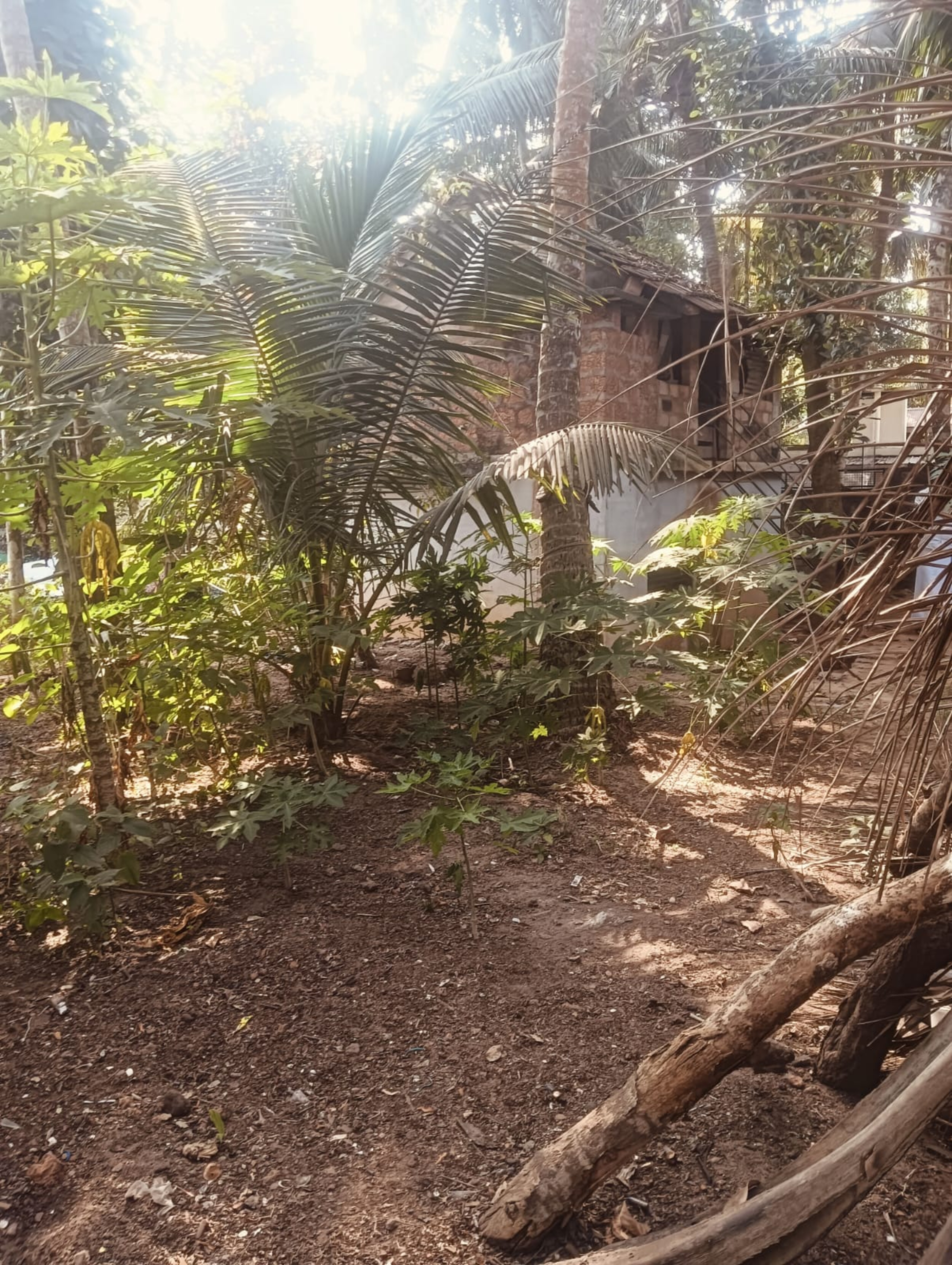 Plot for sale in Kadalundi — photo 3