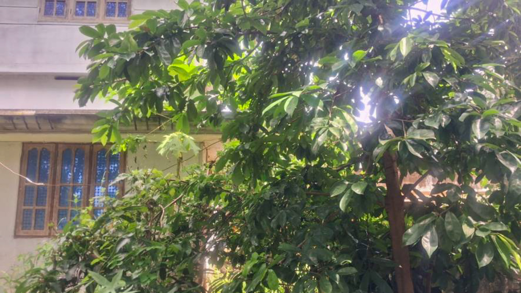 Individual House for sale in CHIRAYINKEEZHU Alamcode — photo 1