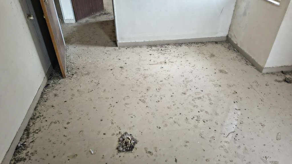 3 BHK Flat for sale in Aadesh Apartment, Rajkot Rajkot — photo 15