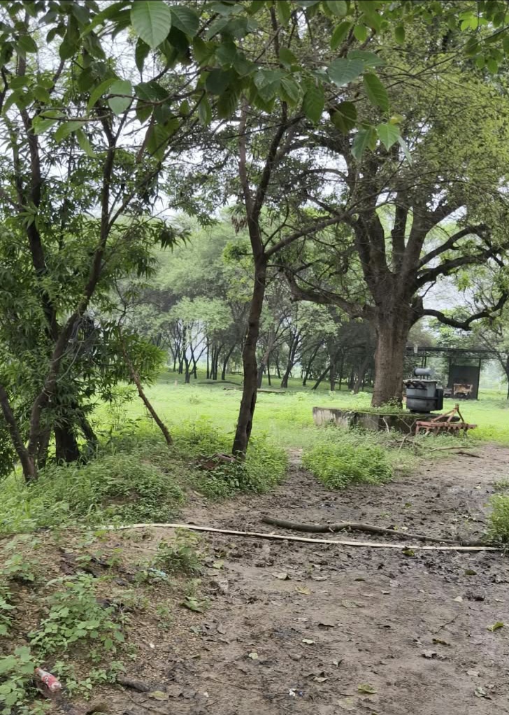 Plot for sale in Janjgir champa Champa — photo 2