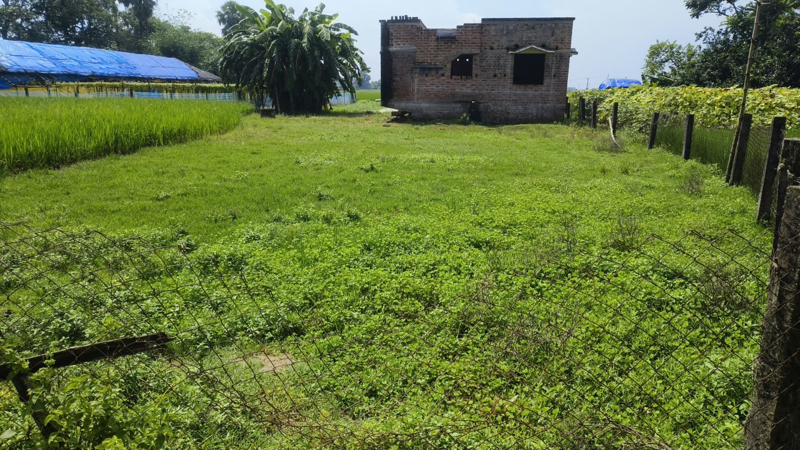5896 square feet Plot for sale in Burdwan — photo 1