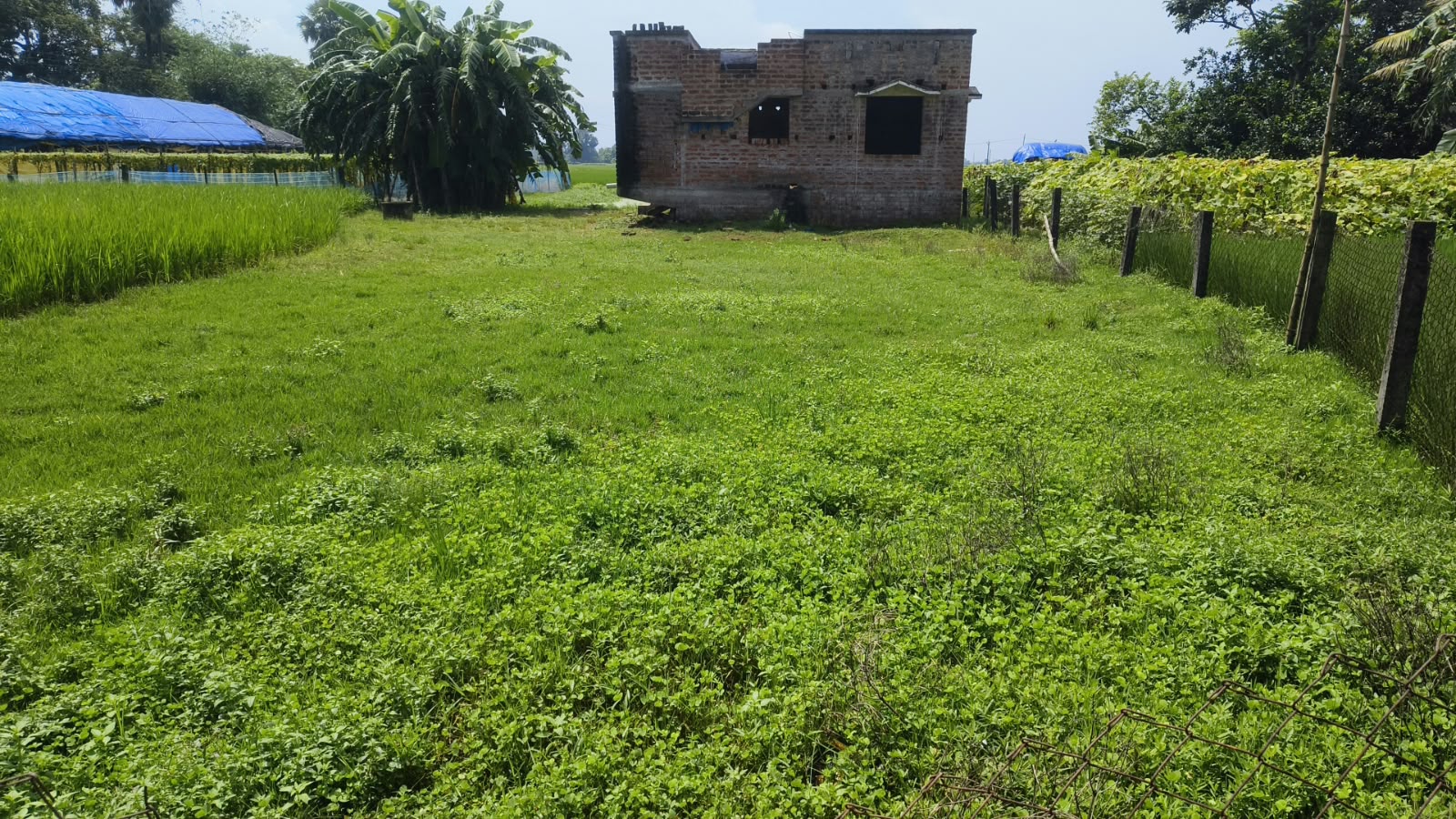 5896 square feet Plot for sale in Burdwan — photo 3