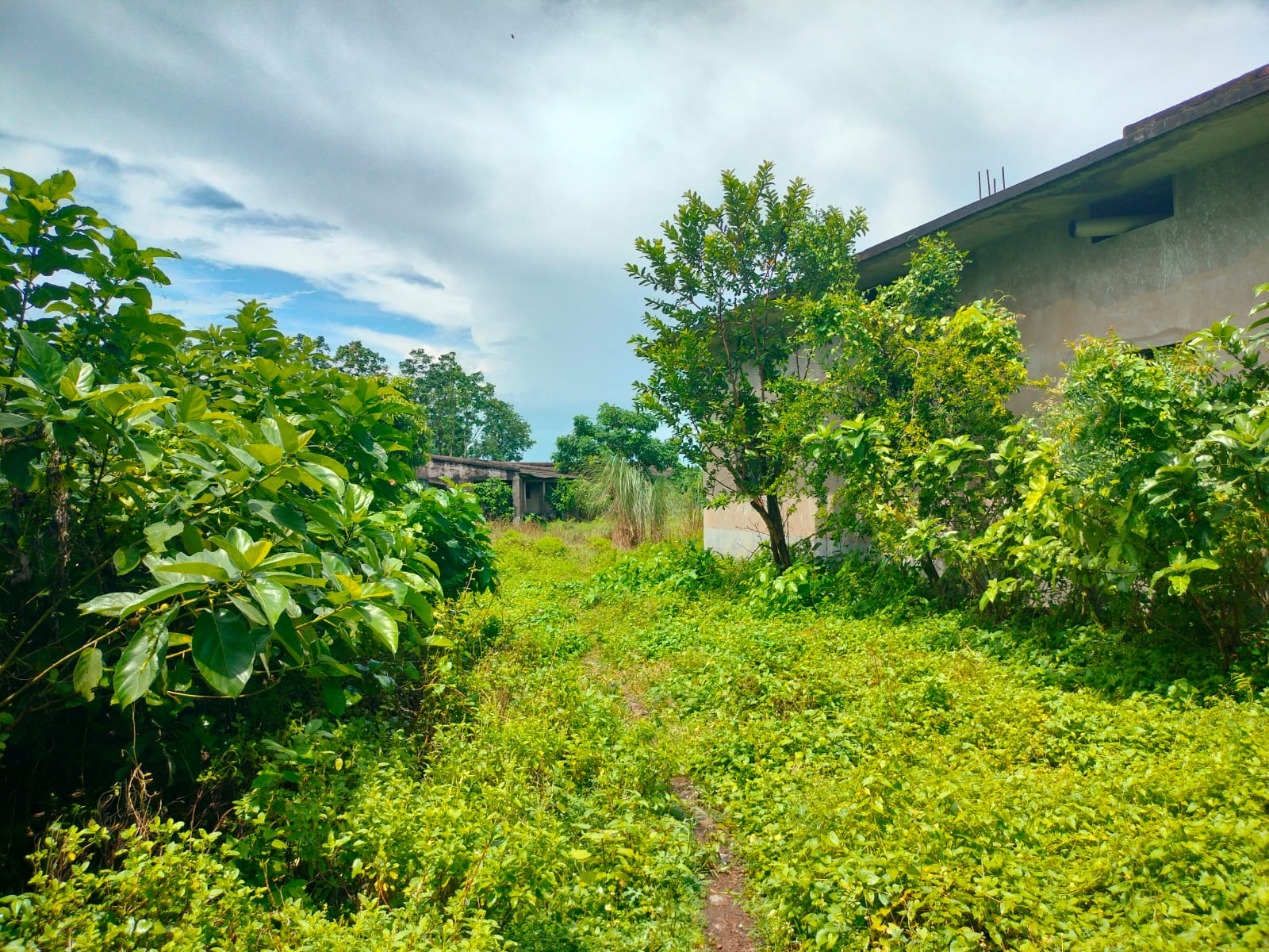 Industrial Plot with Factory Building for sale in NEAR PRABATPUR HIGH SCHOOL Khanpur Hooghly — photo 6