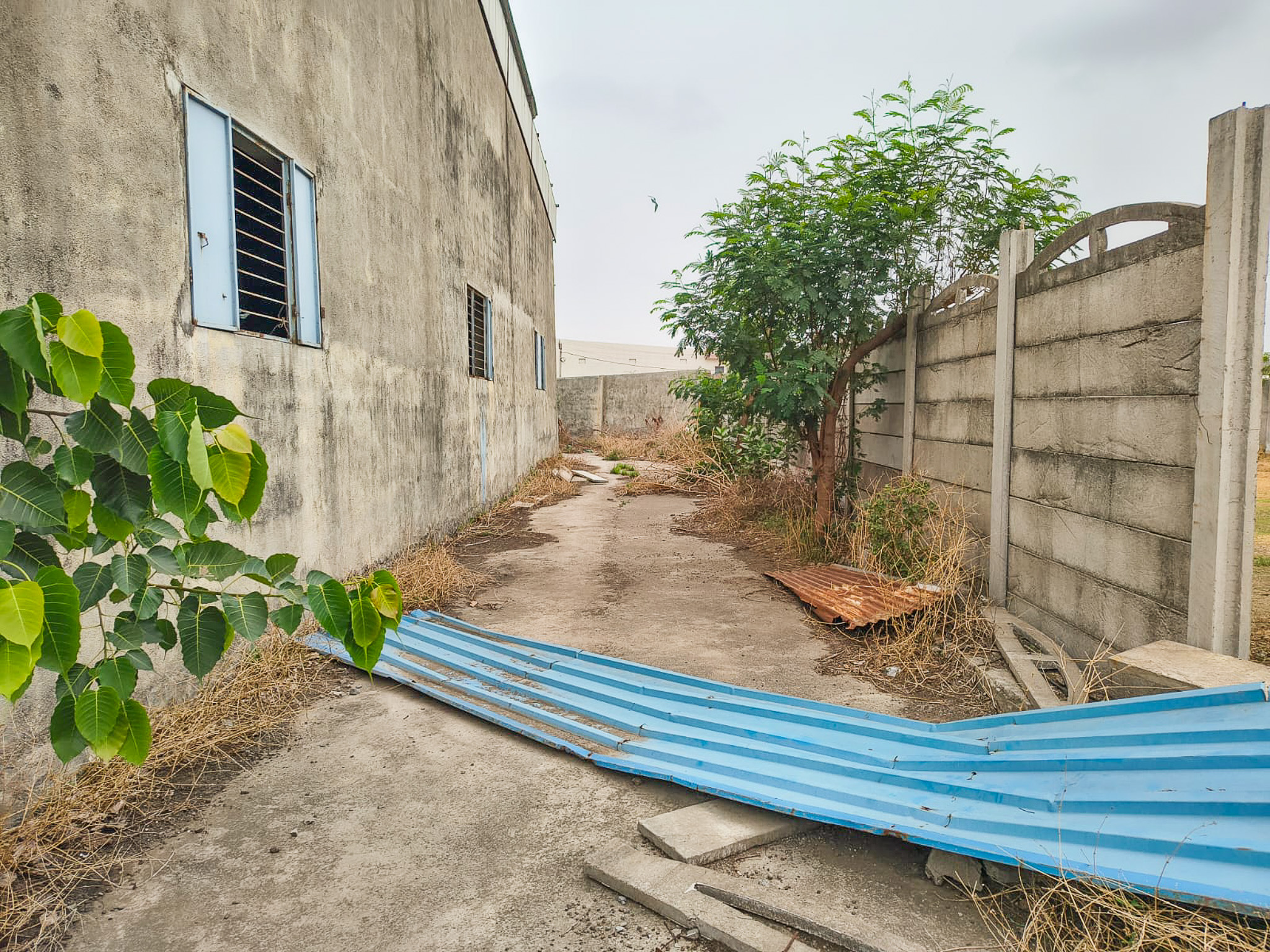 Industrial Shed for sale in Jamwadi, GIDC-ll, Tal-Gondal, Dist.-Rajkot Gondal — photo 3