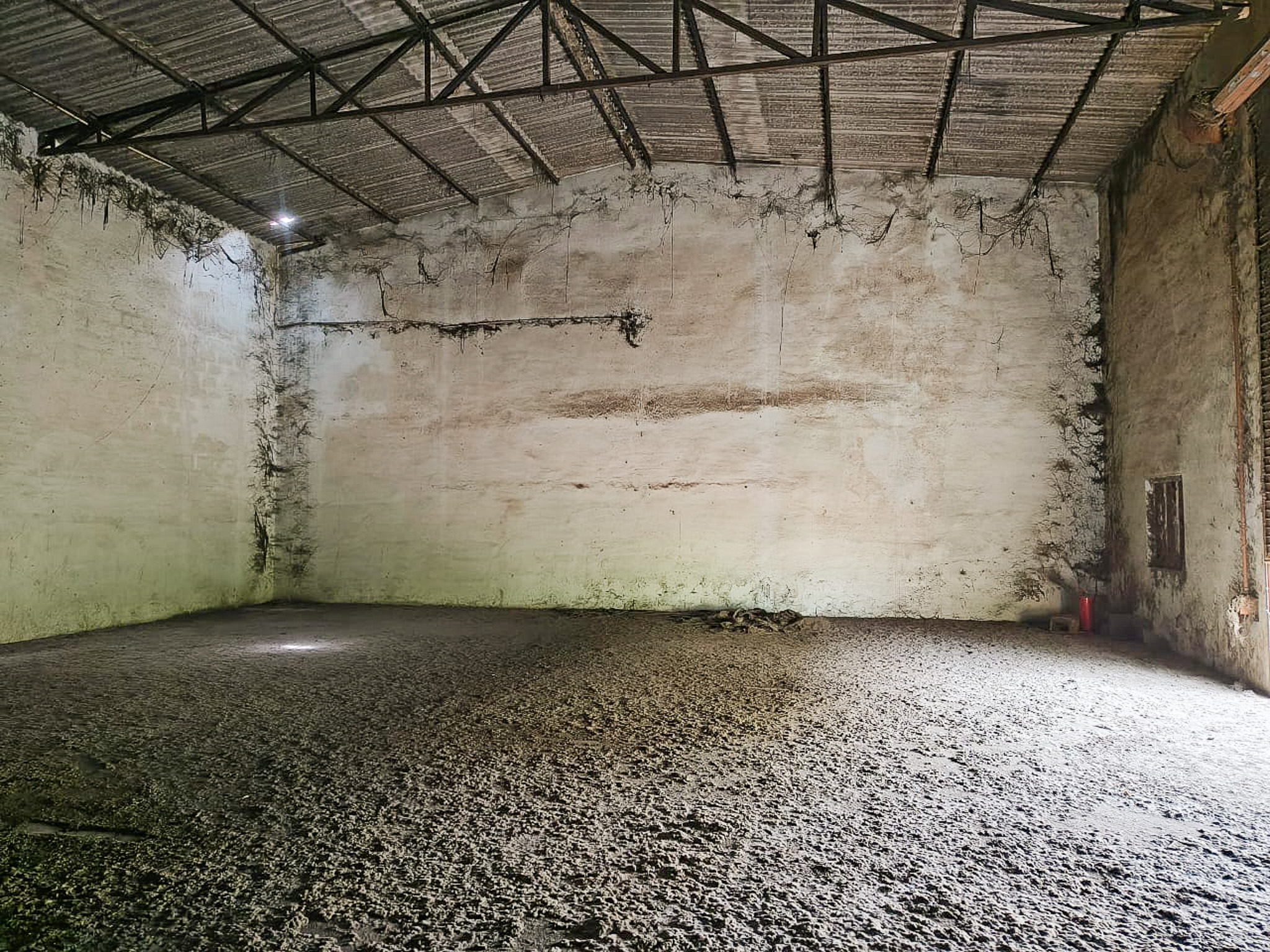 Industrial Shed for sale in JAMWADI GIDC-II TAL GONDAL Gondal — photo 3