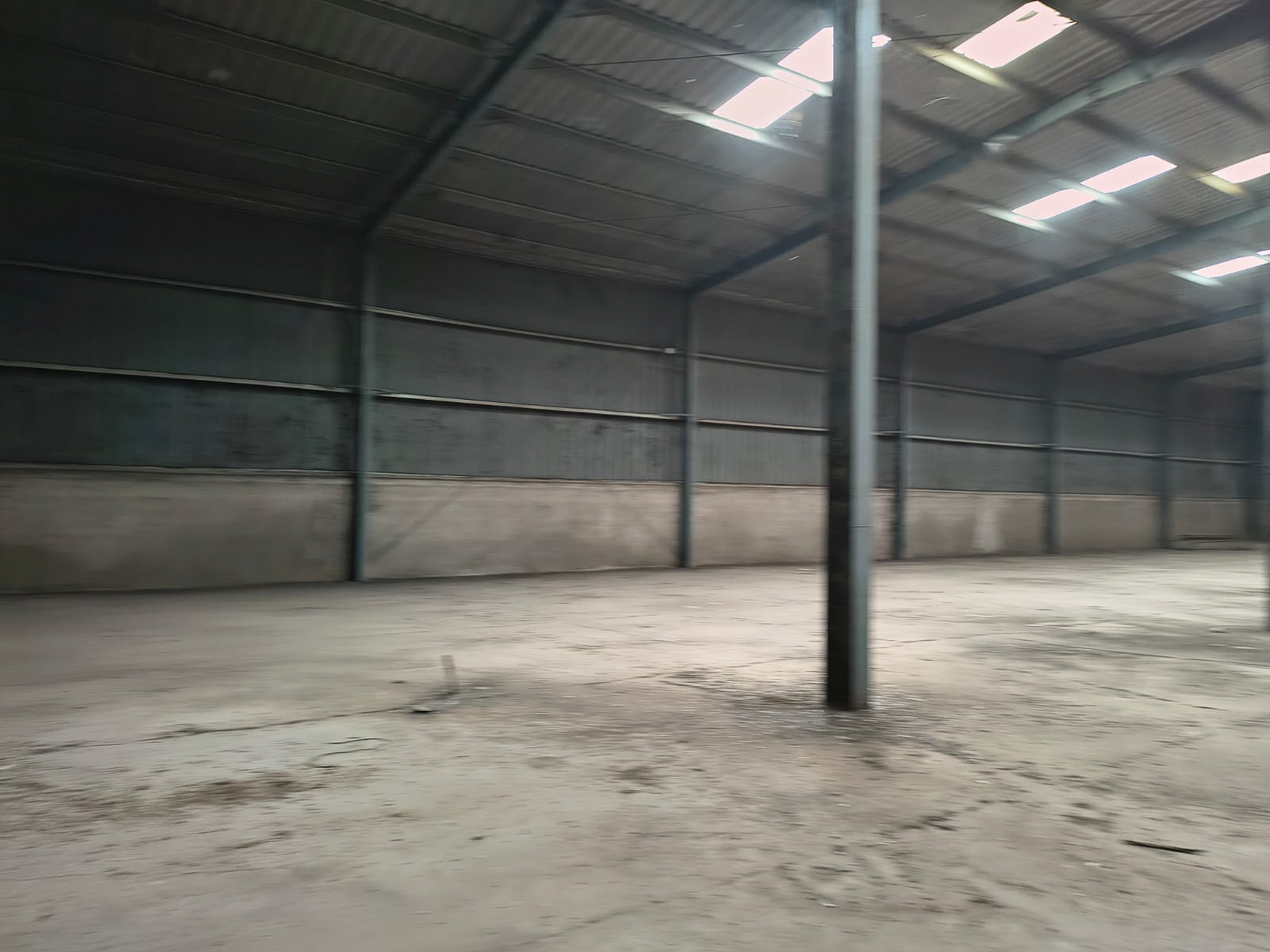 Industrial Shed for sale in JAMWADI GIDC-II TAL GONDAL Gondal — photo 9