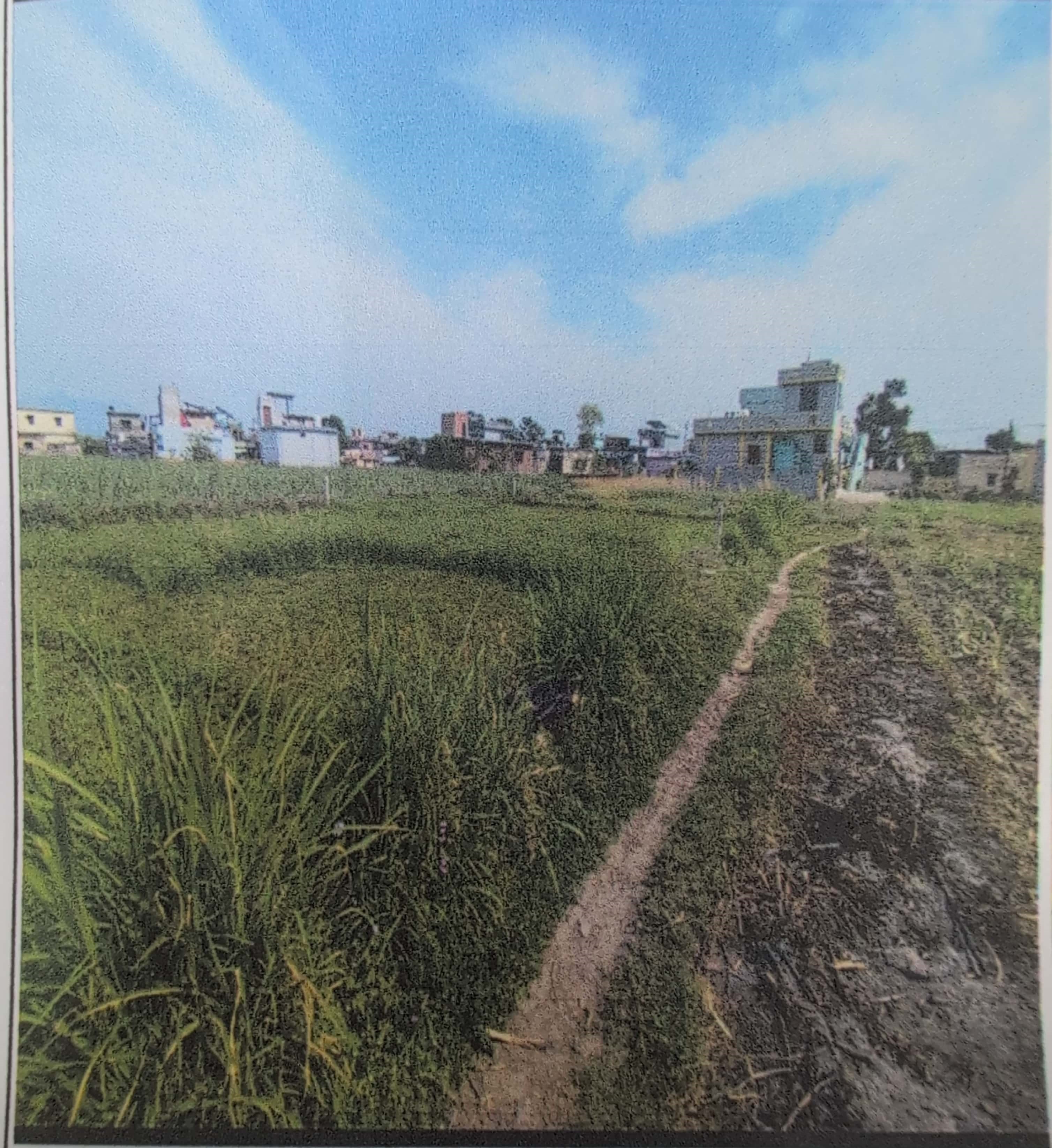 188.19 square meter Plot for sale in Dehradun