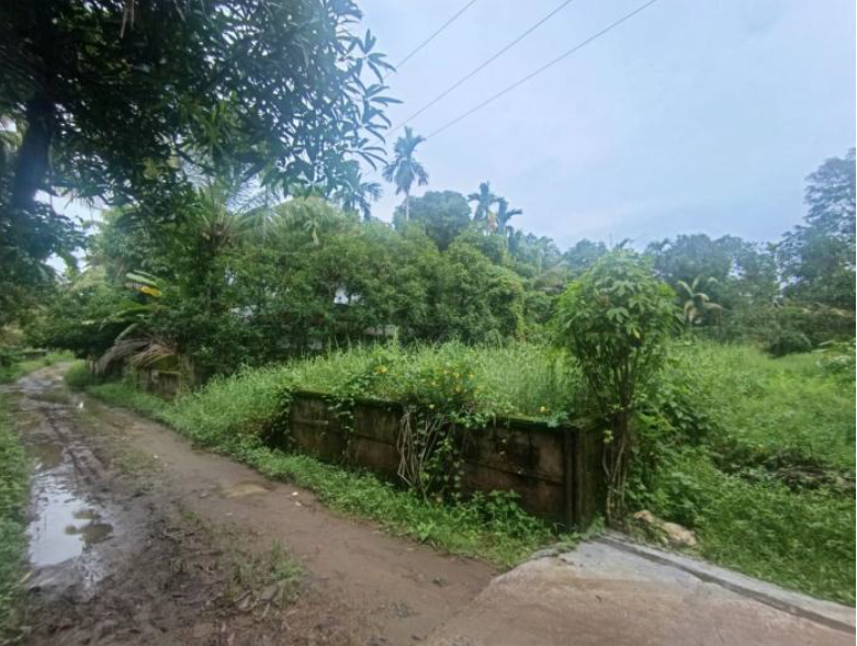 Plot for sale in Kattur — photo 1