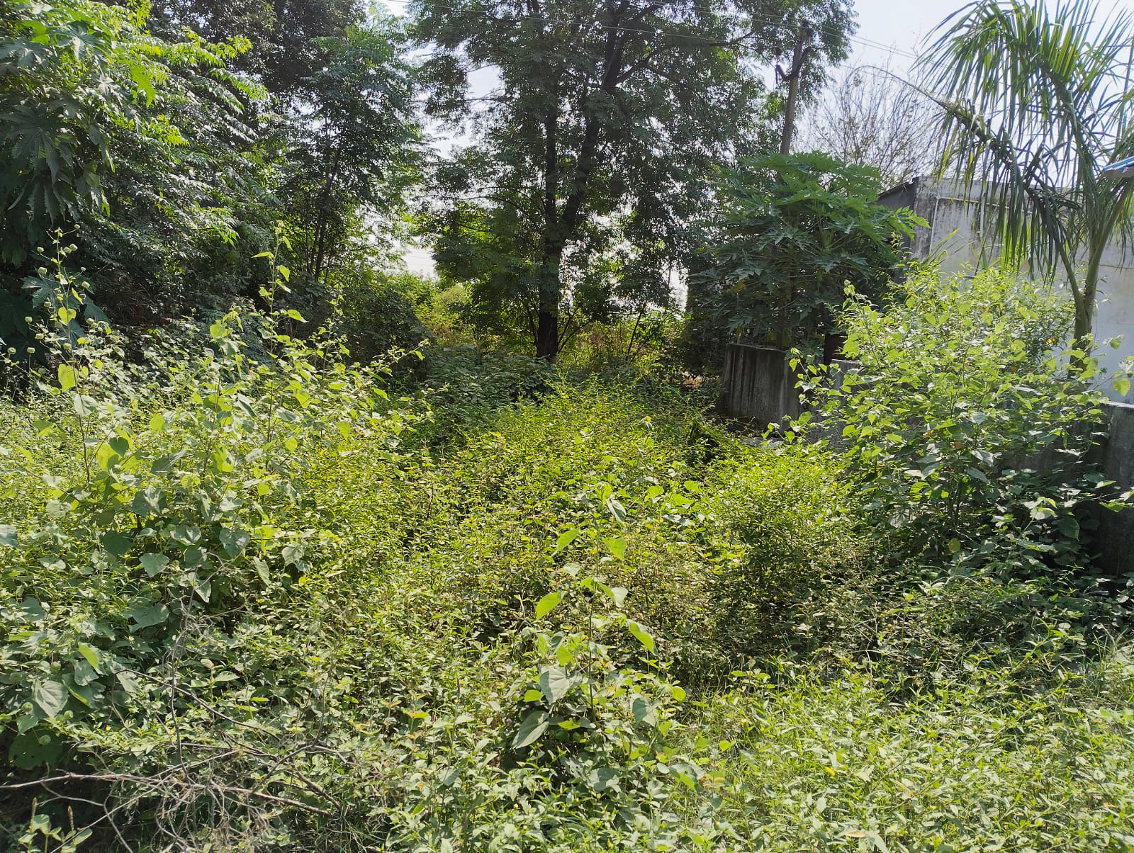 3940 square feet Godowns for sale in BANGA Banga — photo 9