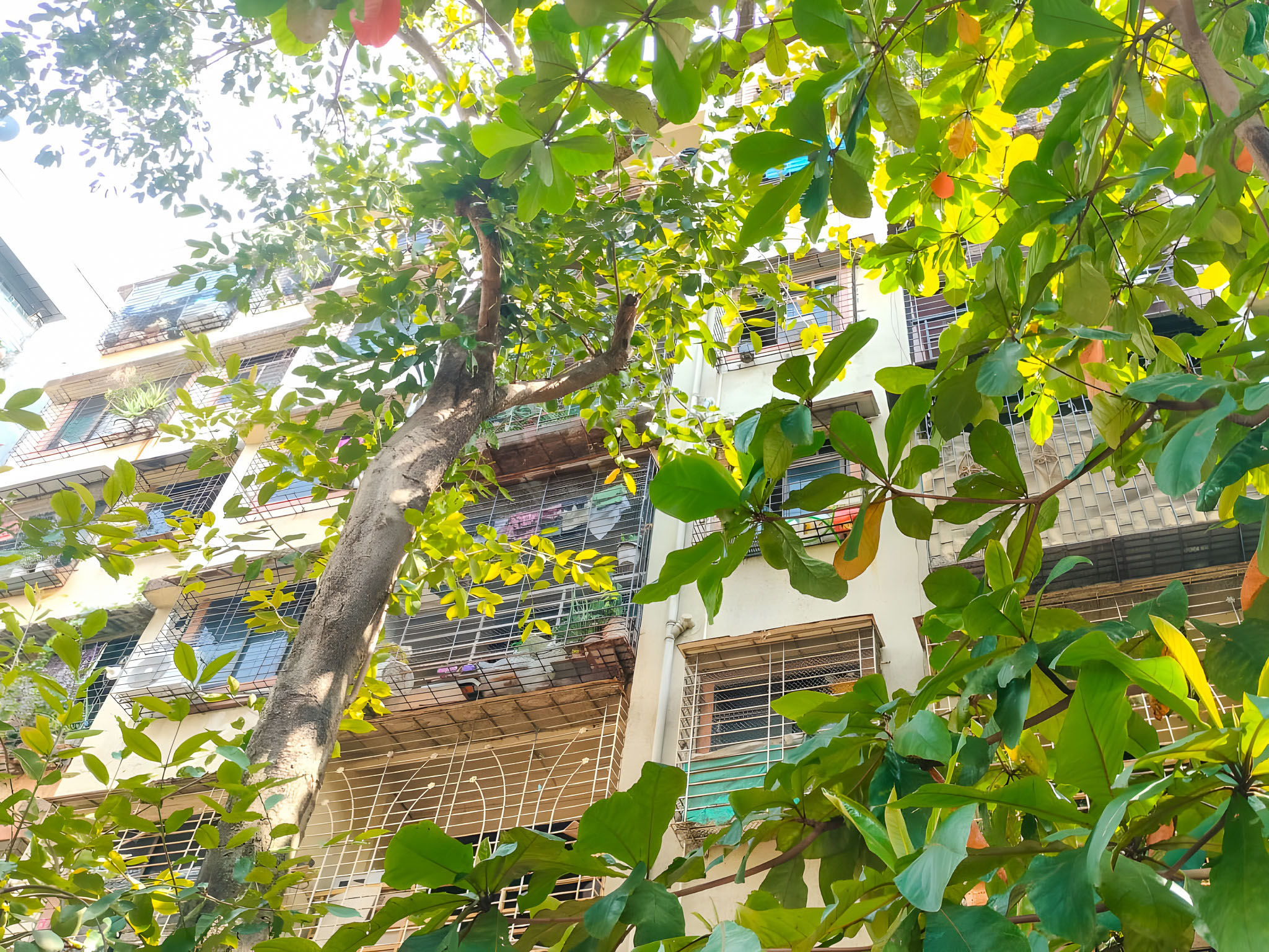1 BHK Flat for sale in SAI ARCADE, AIROLI SECTOR 1 Navi Mumbai — photo 12