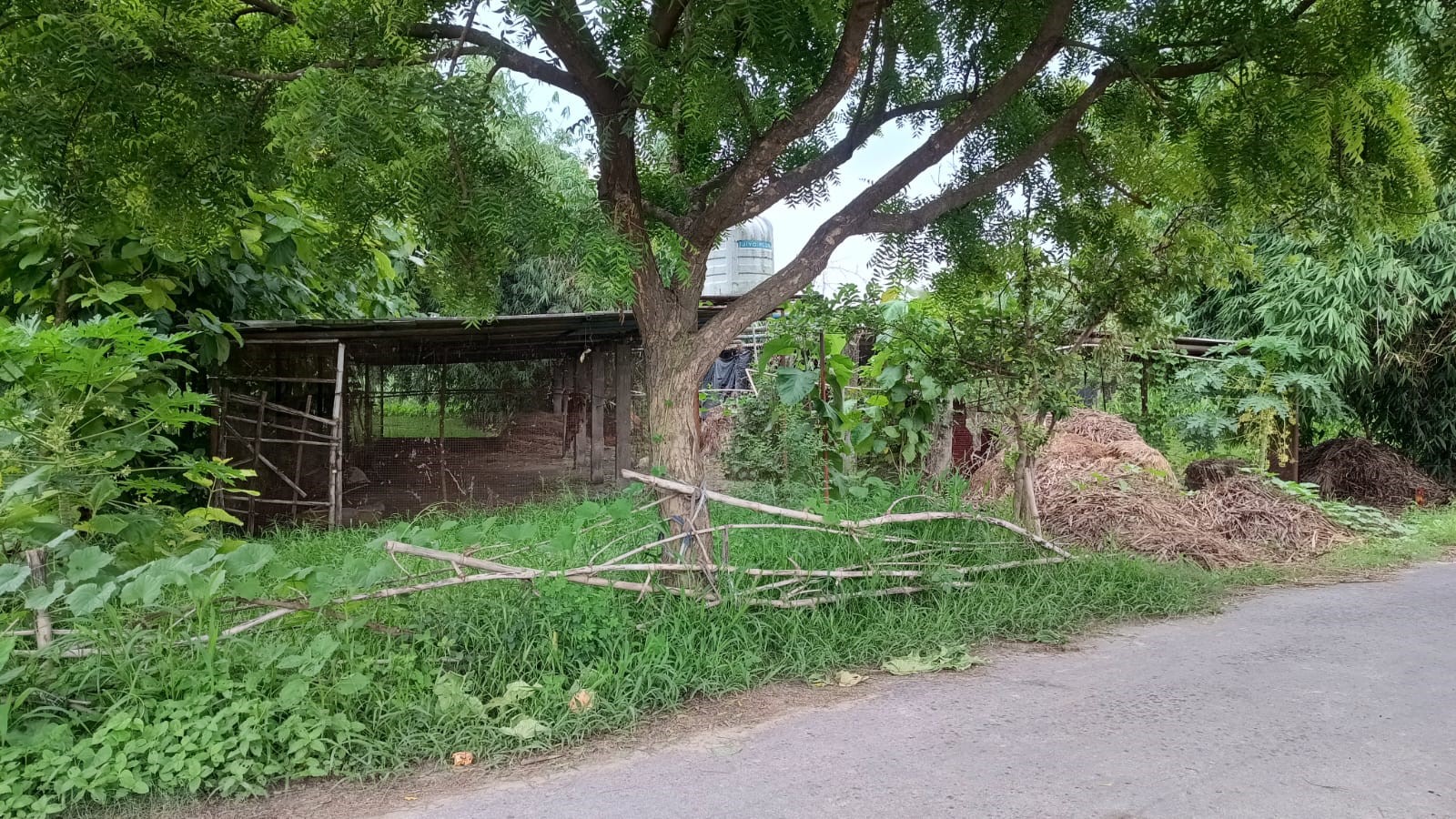 ACC sheet shed on land for sale in Padrauna — photo 1