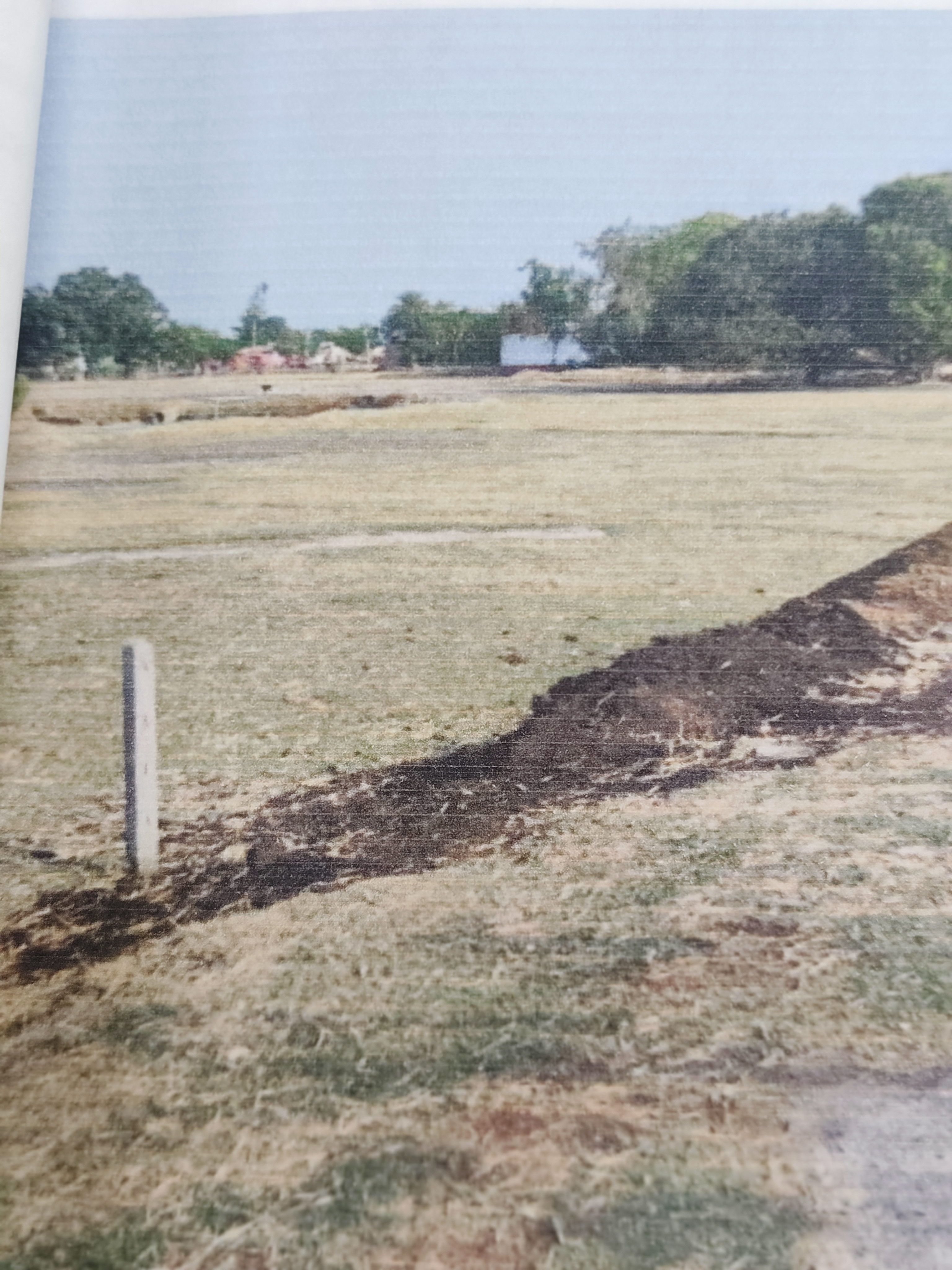 Plot for sale in Mauza, Bargadwa Ayodhya, Tappa- Lehdha, Pargana- Haweli, Tehsil- Nautanwa, District- Maharajganj Nautanwa — photo 1