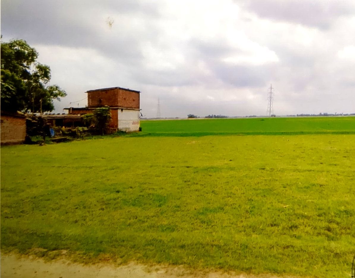 Plot for sale in Maharajganj — photo 1