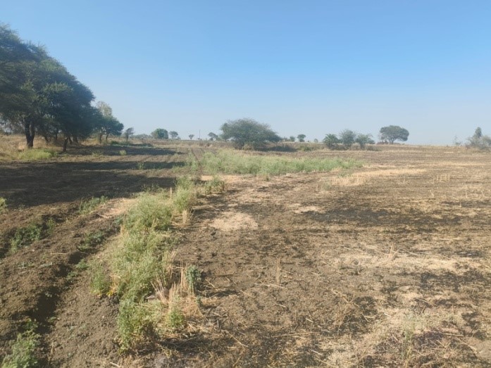 12000 square meter Plot for sale in Patwari Halka Number 25, Tehsil & District Ratlam, M.P., 457001 Namkeen & Allied Food Cluster Karmadi — photo 4