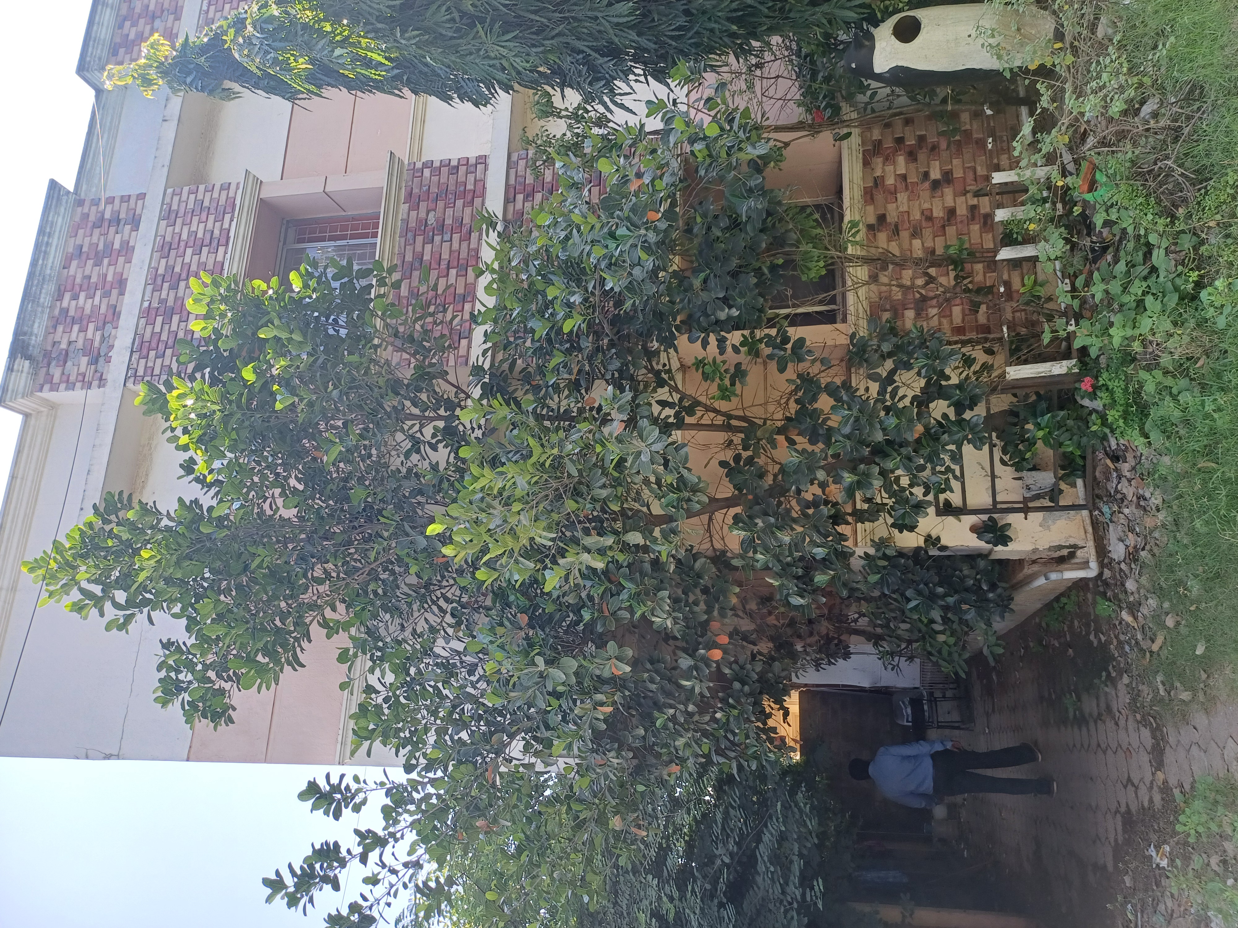 Office for sale in Chennai — photo 3