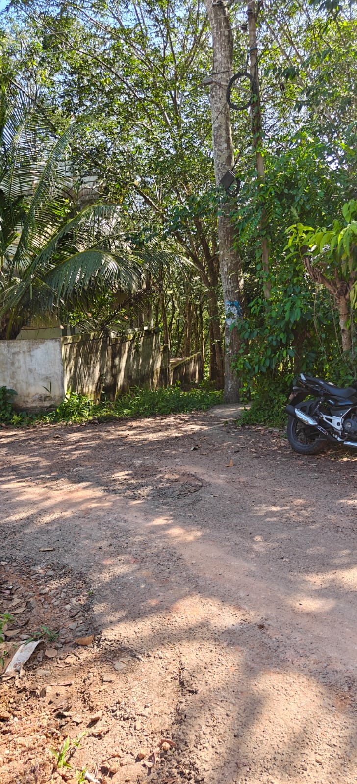 Plot for sale in Neyyattinkara — photo 4