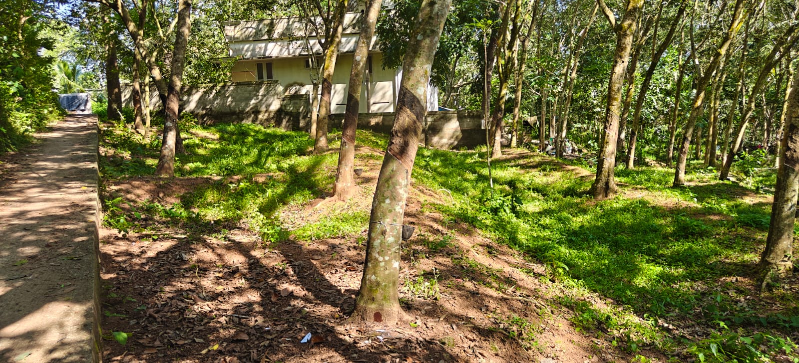 Plot for sale in Neyyattinkara — photo 6