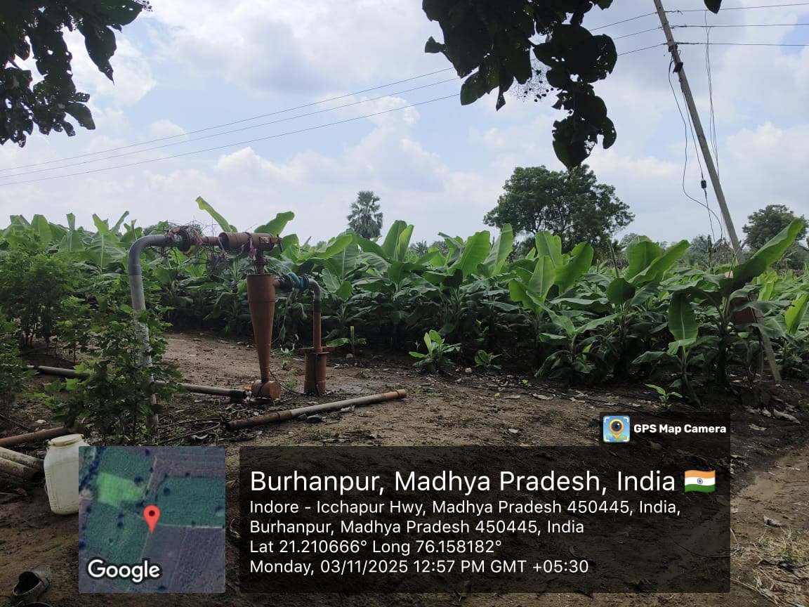 Agriculture Land for sale in MUKTAINAGAR JALGAON MAHARASHTRA Muktainagar