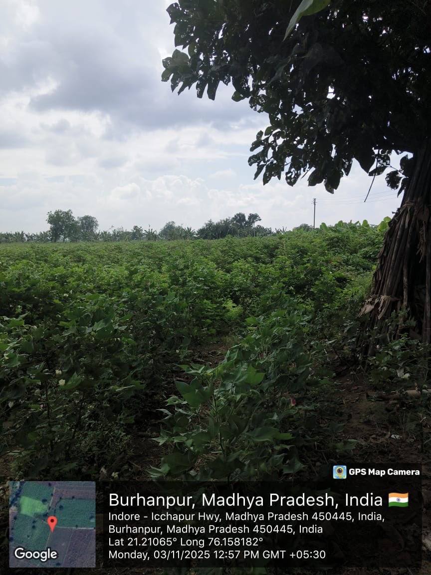Agriculture Land for sale in MUKTAINAGAR JALGAON MAHARASHTRA Muktainagar — photo 2