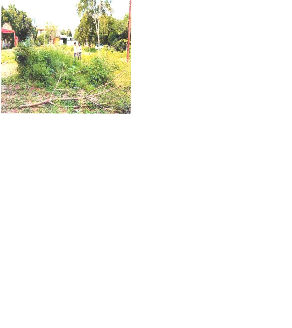 Plot for sale in Gwalior — photo 2