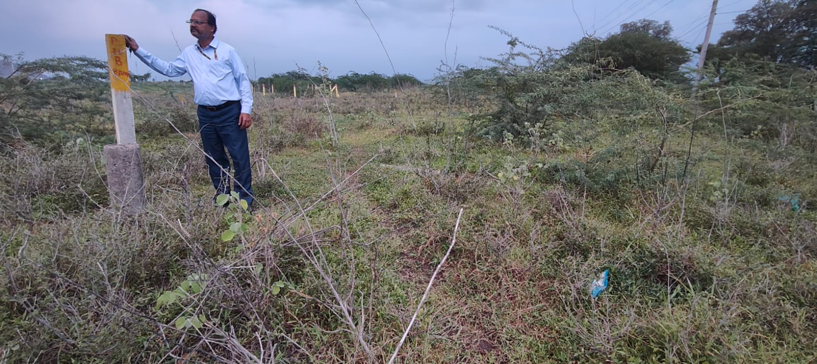1425 square yard Plot for sale in NIDUMUKKALA Amaravati — photo 4