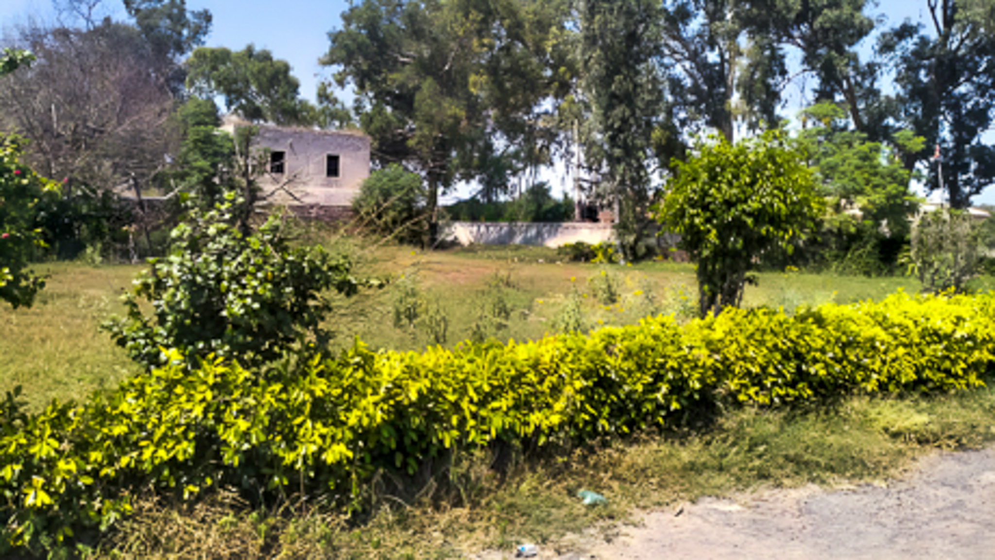 68607 square feet Godowns for sale in Muktsar Industrial Focal Point — photo 20