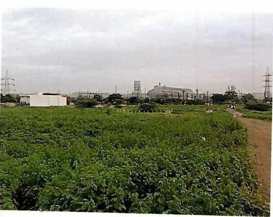 1 BHK Plot for sale in NAP, SEMI URBAN Jalna — photo 5