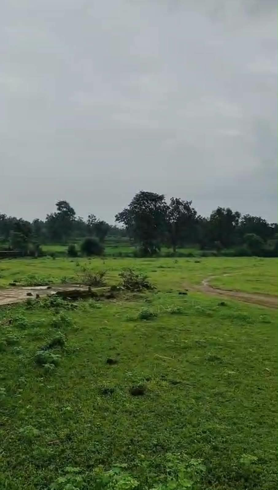 Agriculture Land for sale in Khamariya Balaghat Balaghat — photo 1