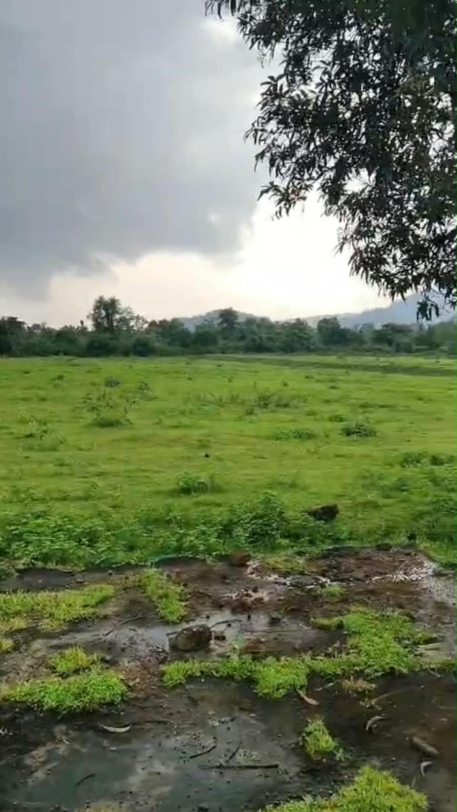 Agriculture Land for sale in Khamariya Balaghat Balaghat — photo 3