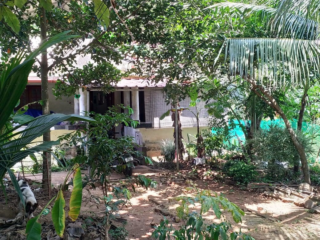 Individual House for sale in Thiruvalla — photo 2