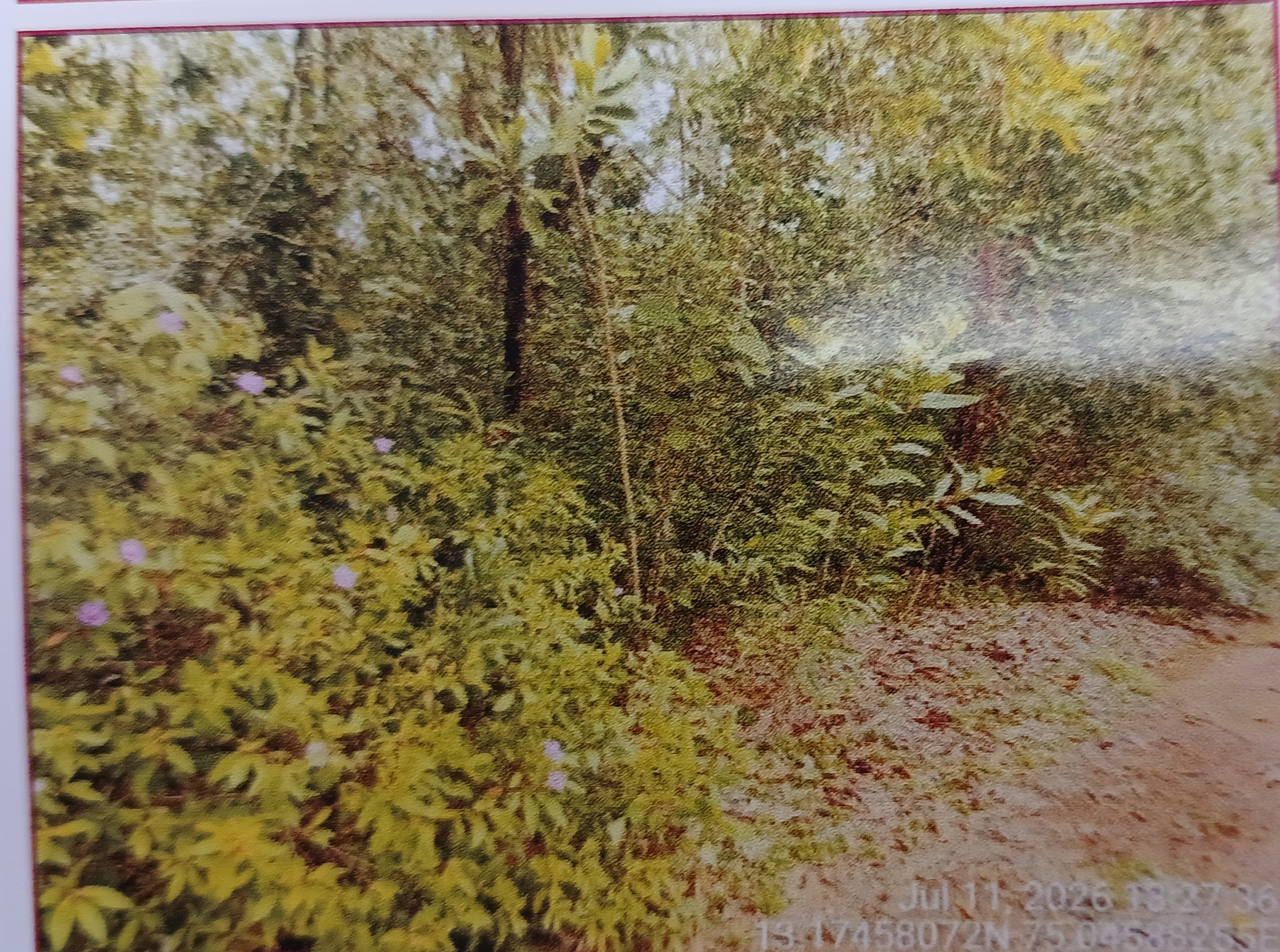 Plot for sale in Rural BAJEGOLI — photo 3