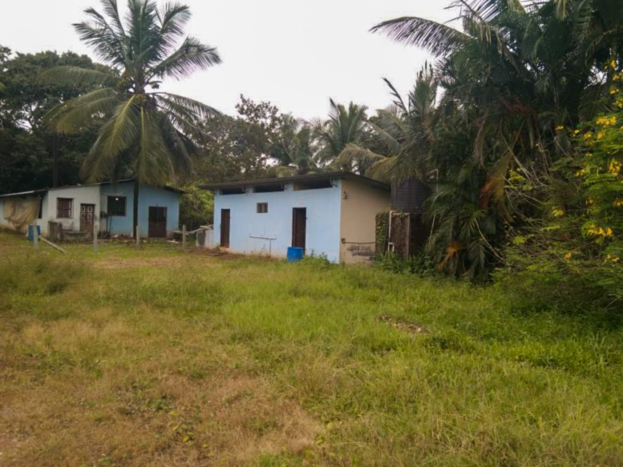 Industrial Plot with Factory Building for sale in MAVINAKOPPA Koteshwar — photo 6